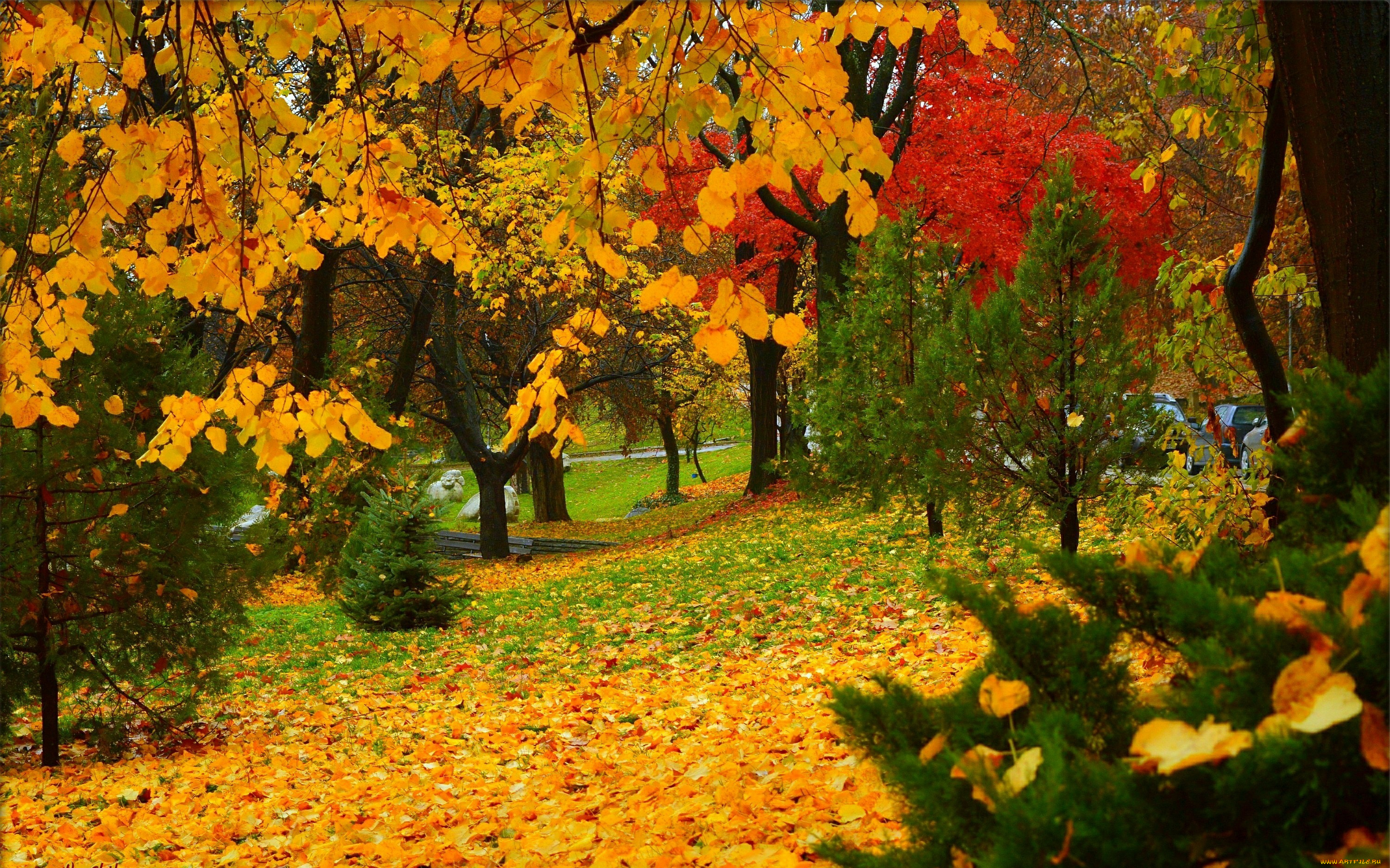 природа, парк, деревья, листопад, autumn, листва, park, leaves, colors, trees, fall, осень