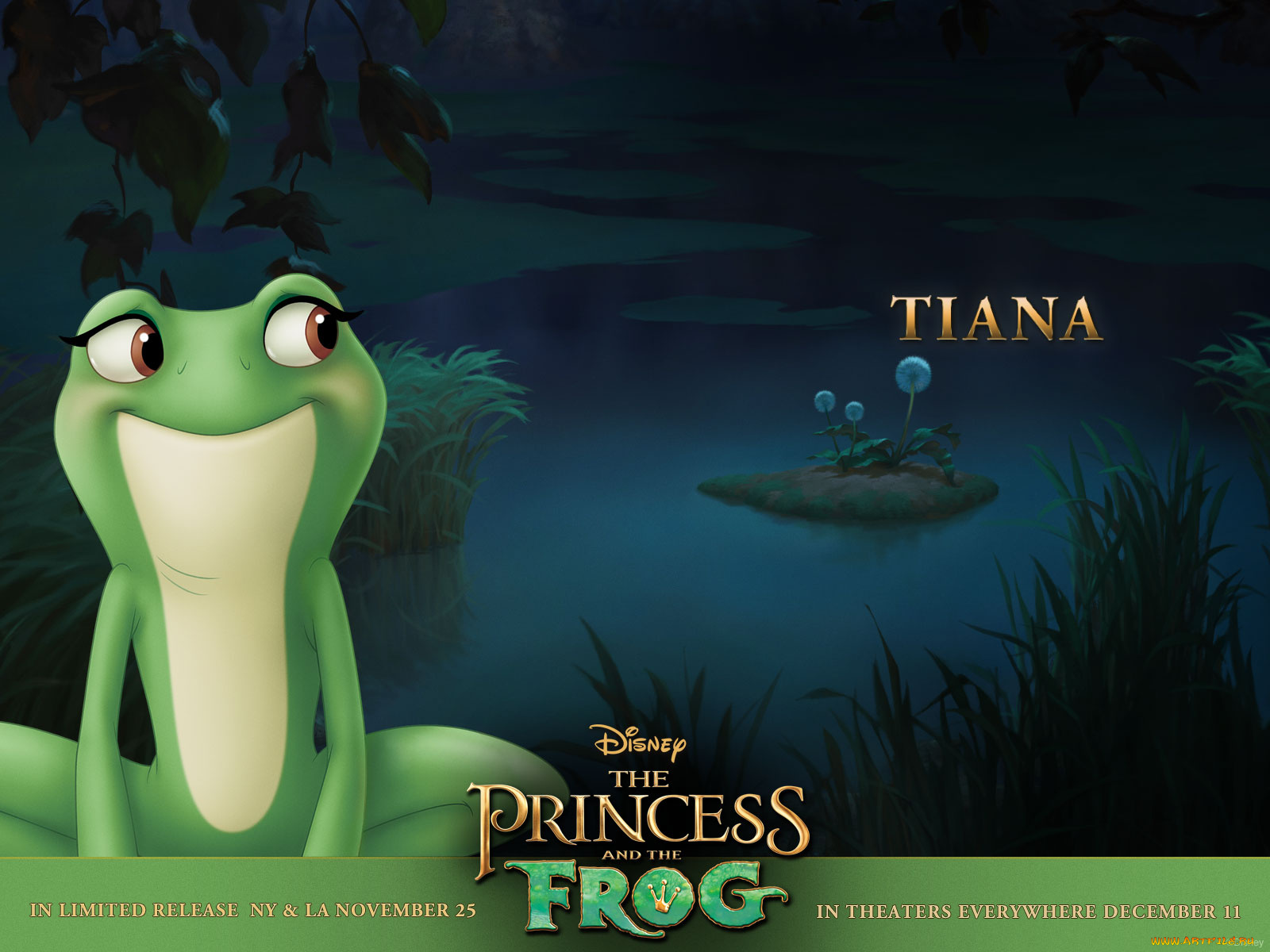 принцесса, лягушка, мультфильмы, the, princess, and, frog