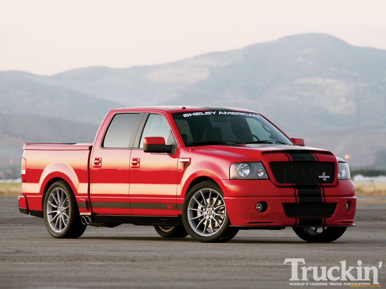 2010, ford, shelby, f150, super, snake, автомобили, custom, pick, up