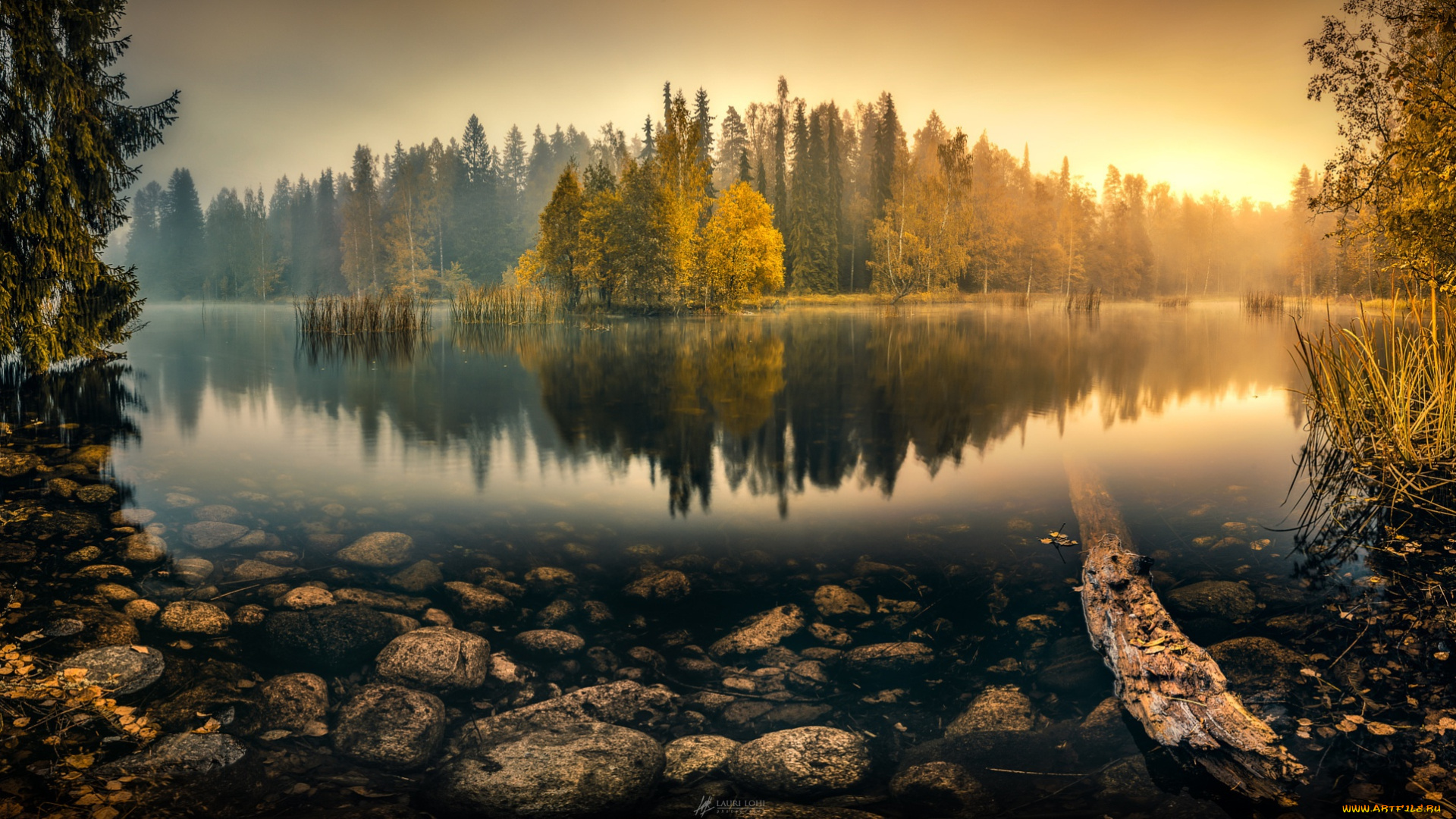 природа, реки, озера, деревья, tranquil, morning, lauri, lohi, озеро, туман, камни, утро, отражение, камыши, вода, рассвет, лес, осень