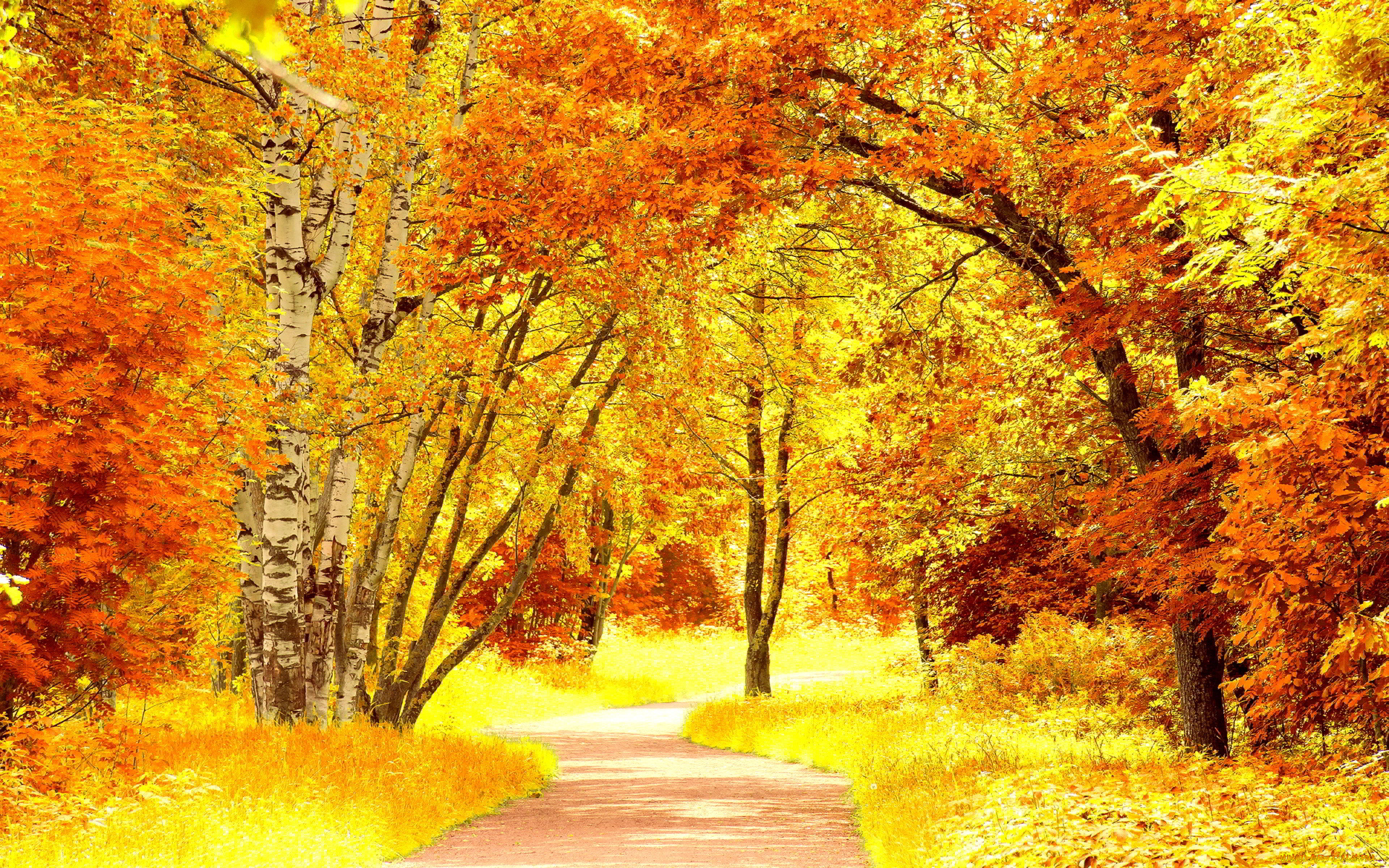 природа, дороги, осень