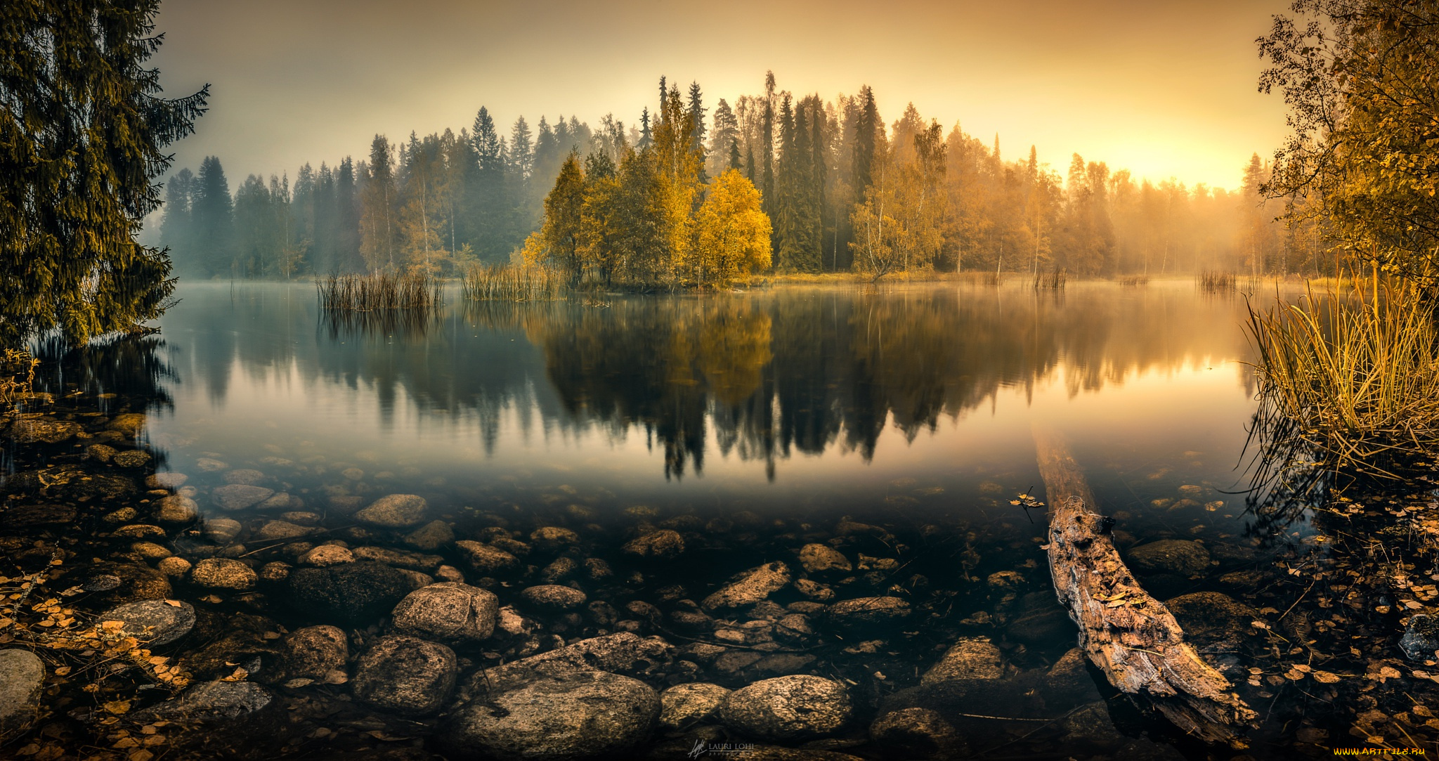 природа, реки, озера, деревья, tranquil, morning, lauri, lohi, озеро, туман, камни, утро, отражение, камыши, вода, рассвет, лес, осень