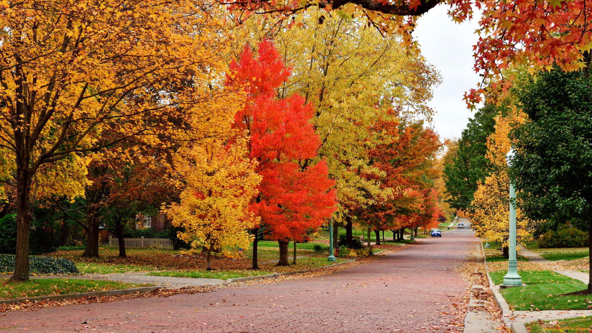 природа, дороги, осень, листопад, деревья