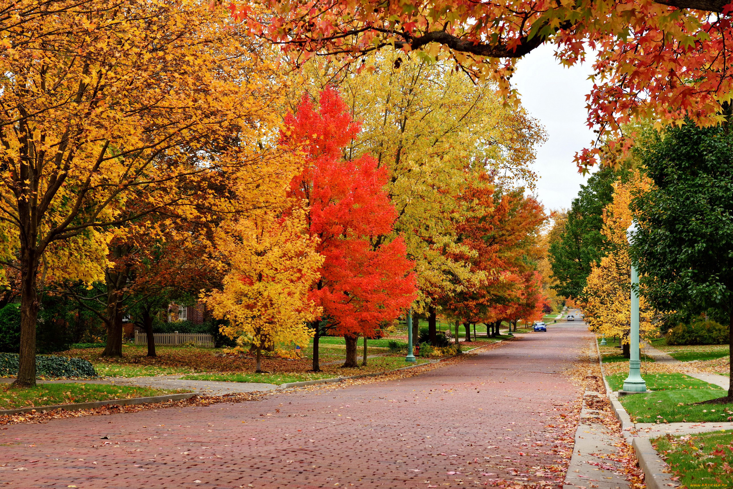природа, дороги, осень, листопад, деревья