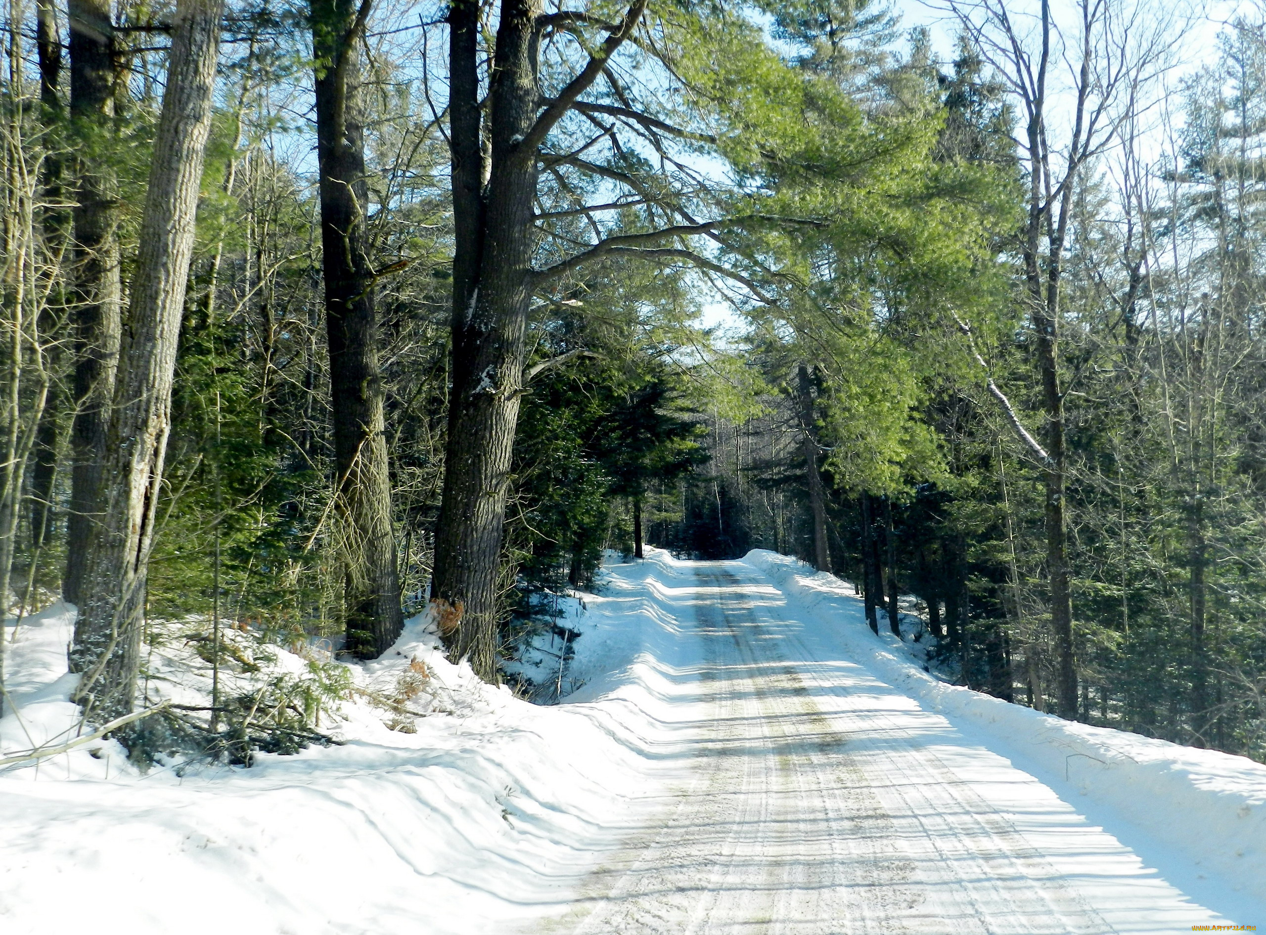 природа, дороги, дорога, зимняя, снег, деревья