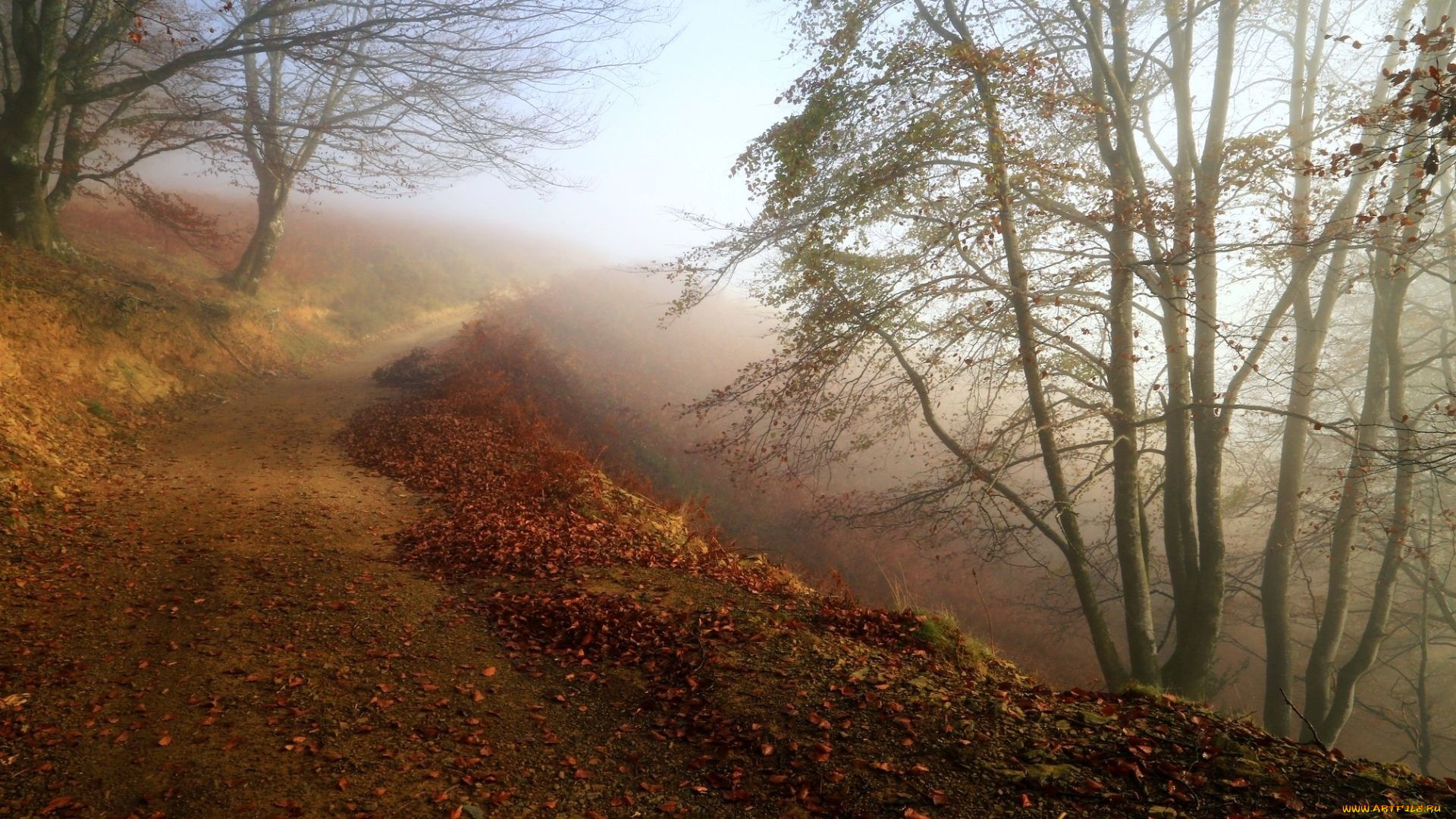 природа, дороги, туман, осень