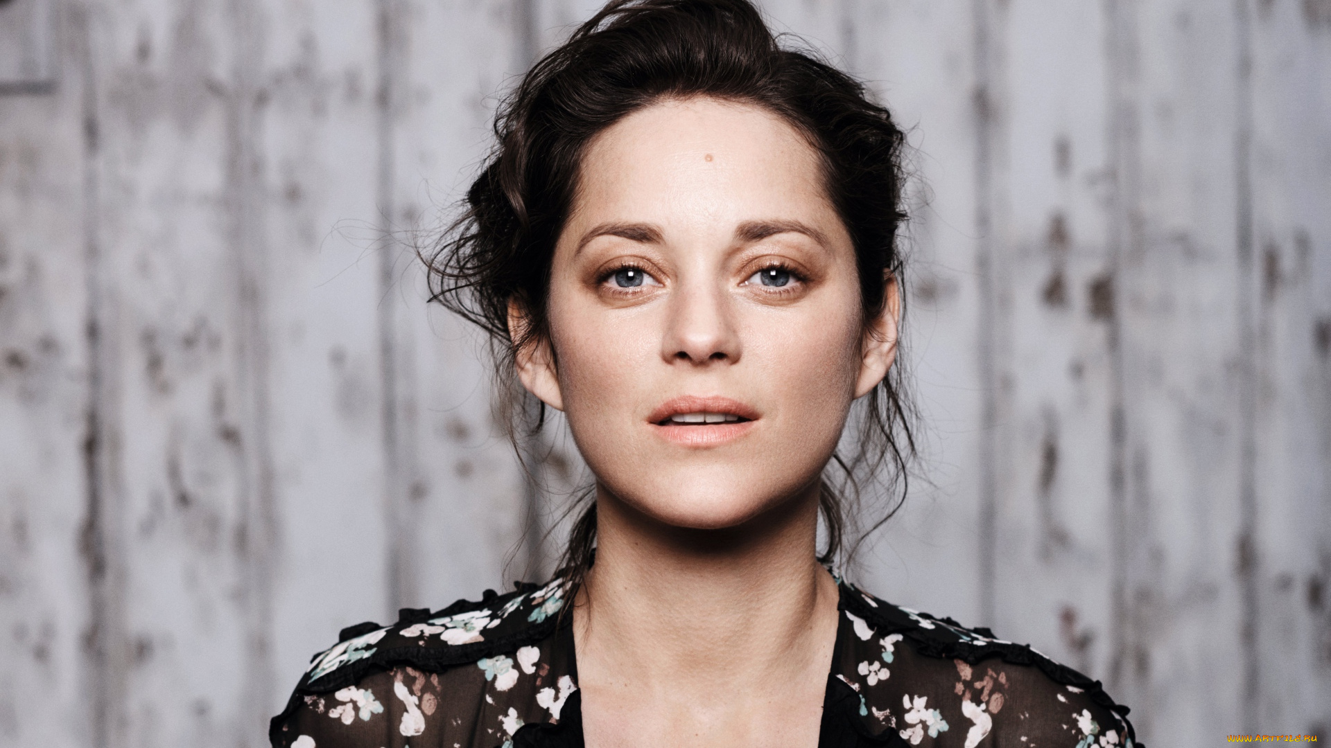 marion, cotillard, девушки, брюнетка, лицо