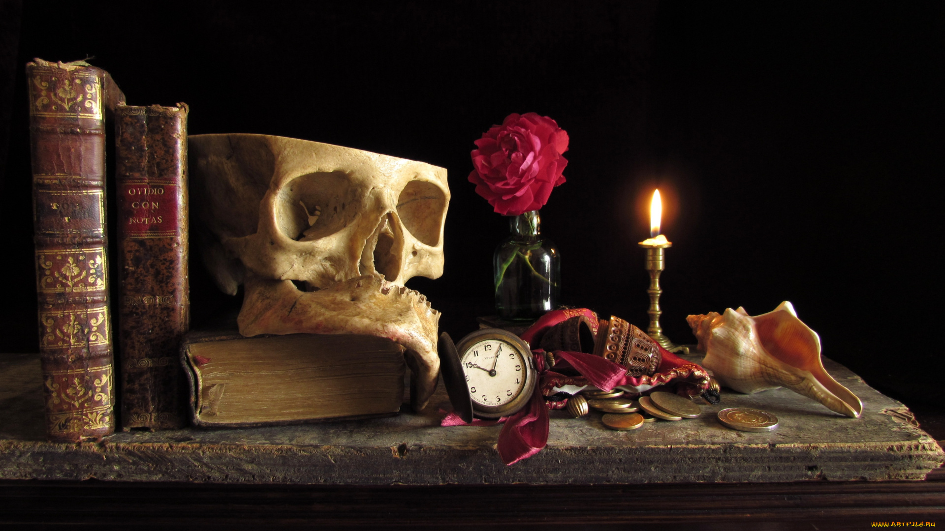 разное, кости, рентген, монеты, роза, натюрморт, ракушка, череп, книги, часы, свеча