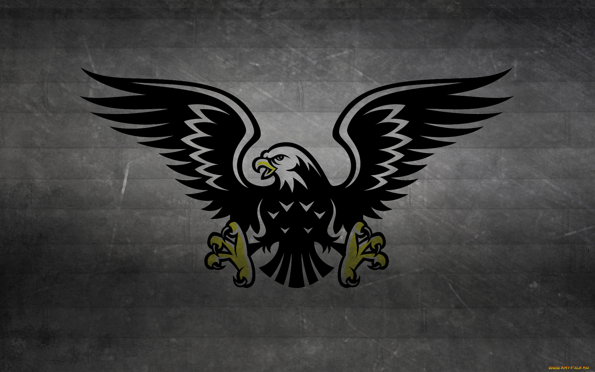 разное, надписи, логотипы, знаки, темный, фон, hawk, eagle, хищник, птица, ястреб, когти, крылья, полосы, черно-белый