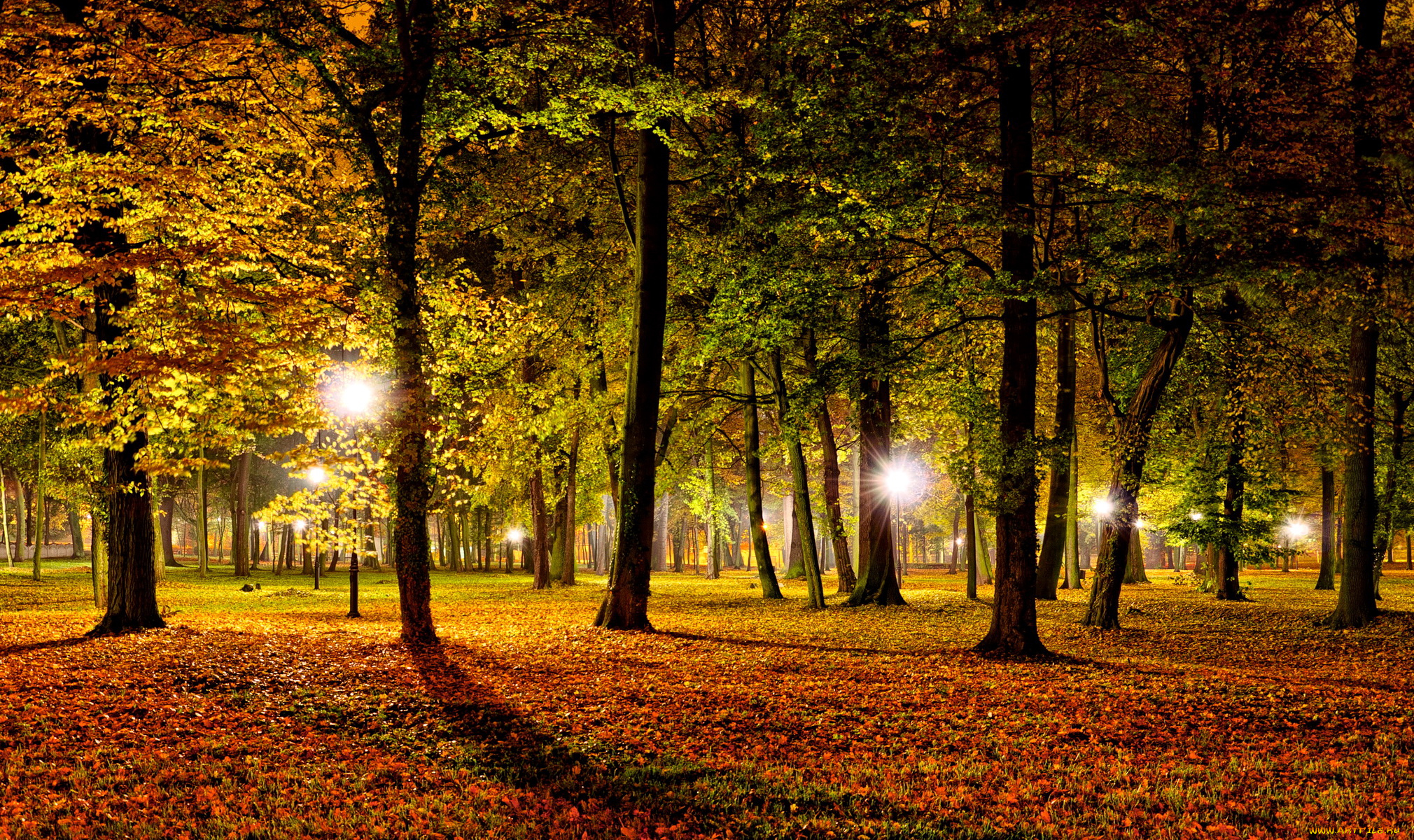 парк деревья фонари Park trees lights без смс