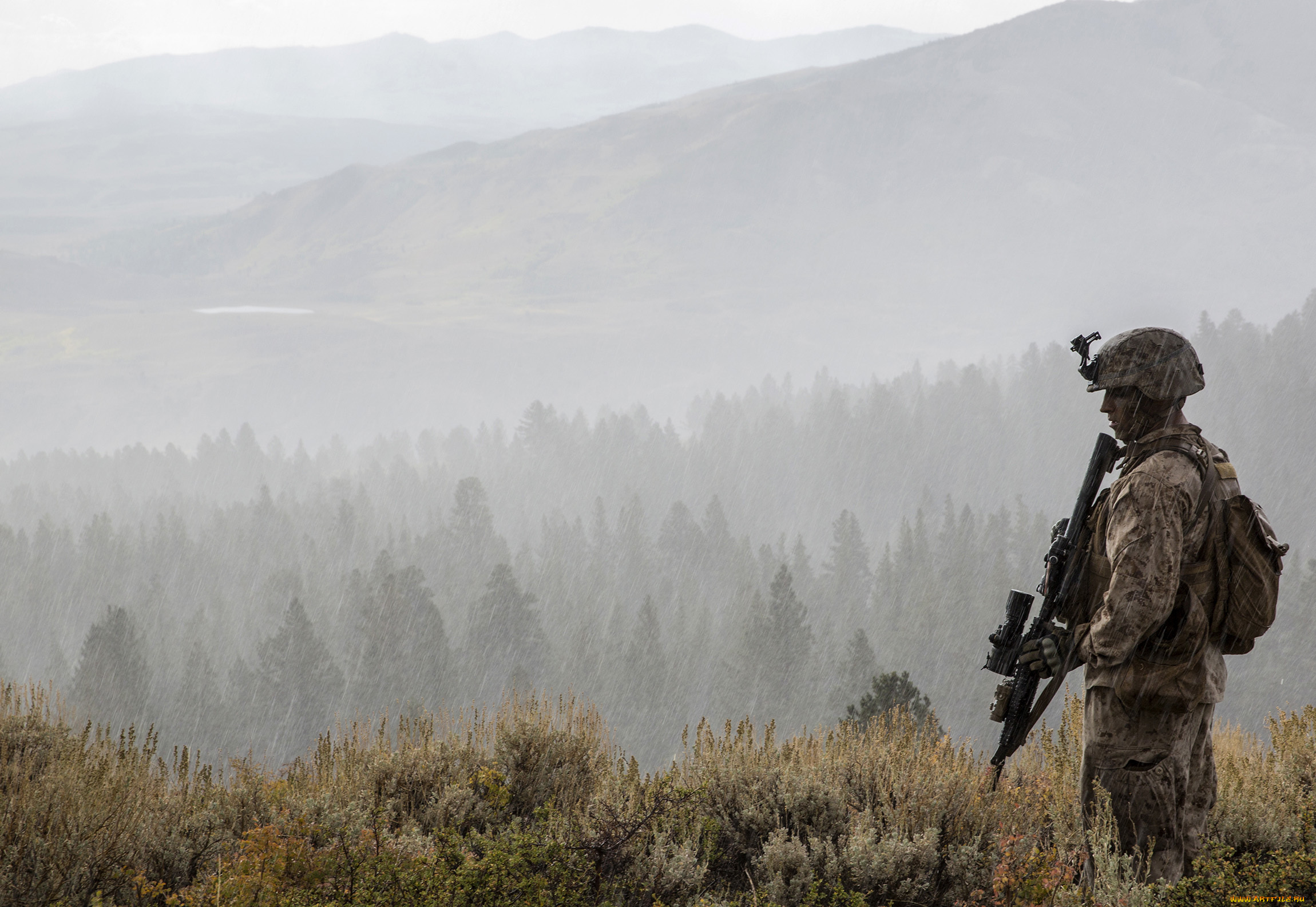 Обои военная тематика. Фон военного леса. Снайпер в горах. Спецназ в тумане. Военные в лесу.