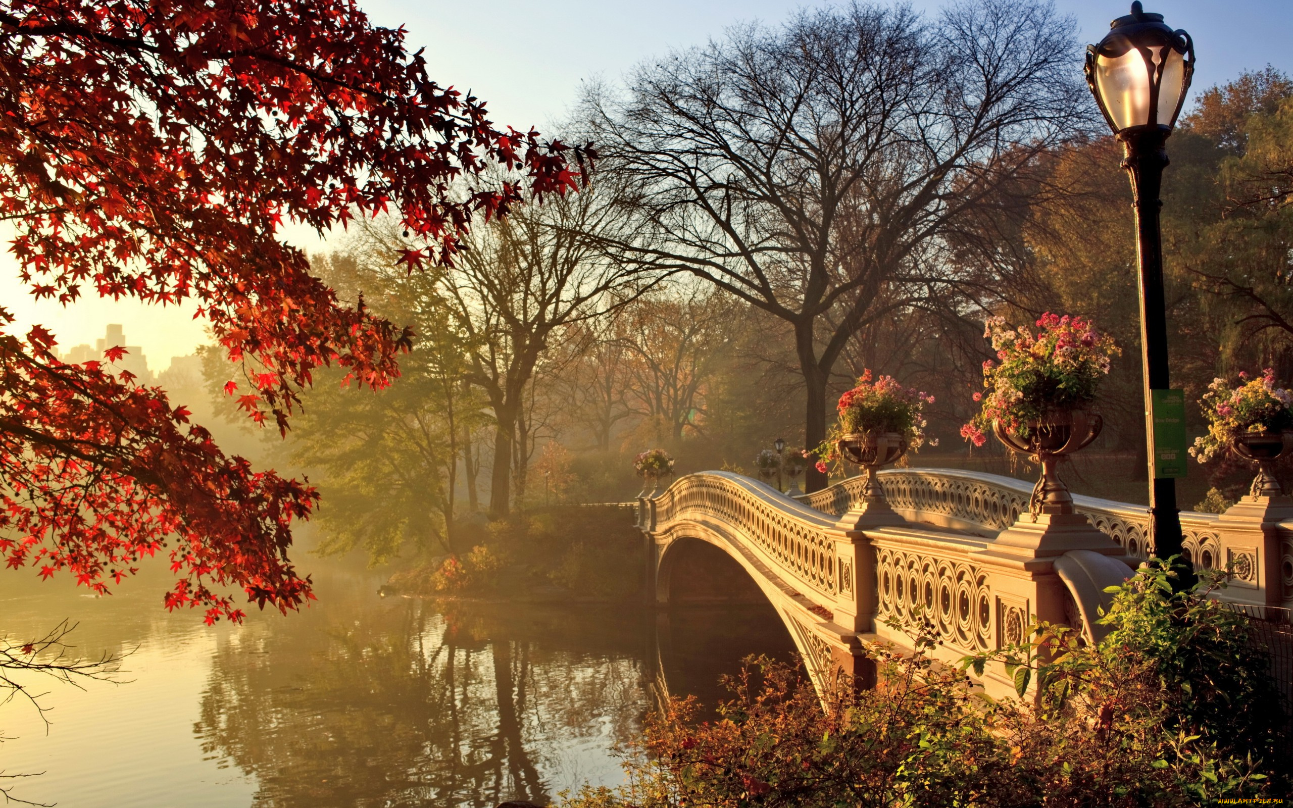 города, -, мосты, fall, season, park, autumn, bridge, пейзаж, осень, мост, парк