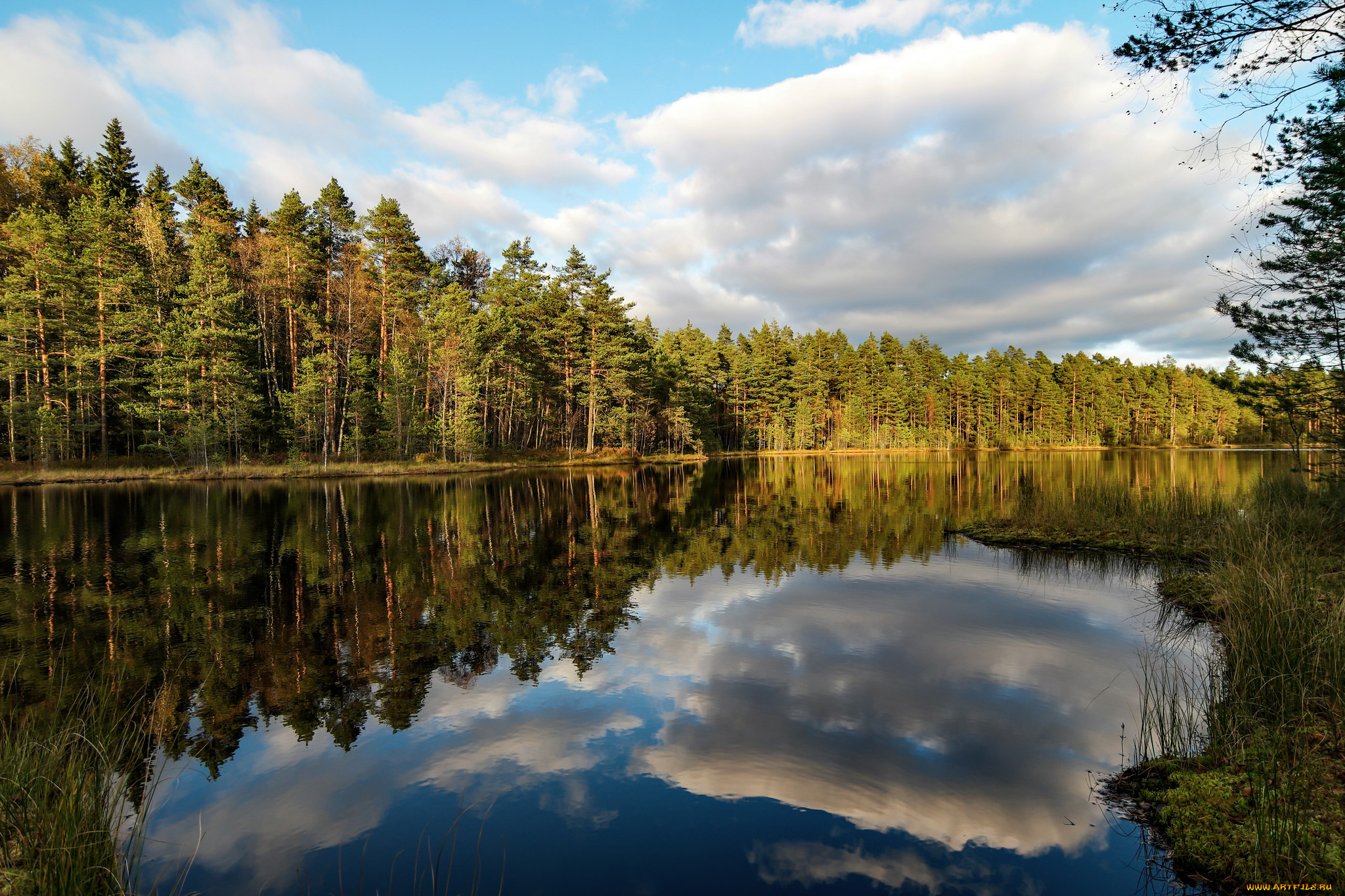 природа, реки, озера, река, лес