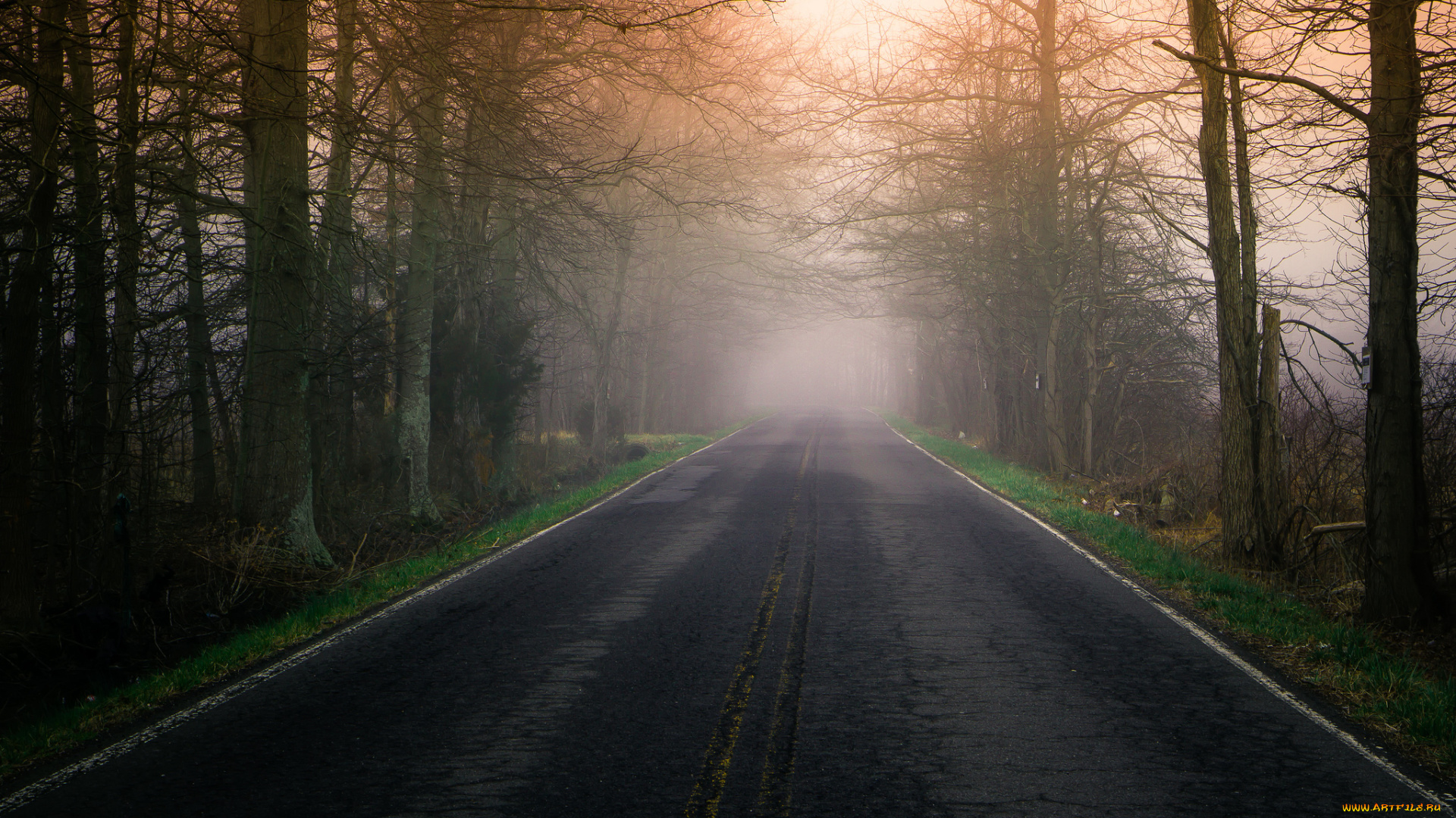 природа, дороги, туман, дорога, утро