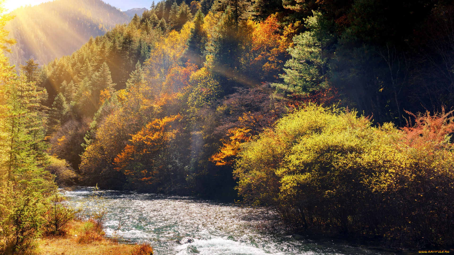 природа, реки, озера, осень, деревья