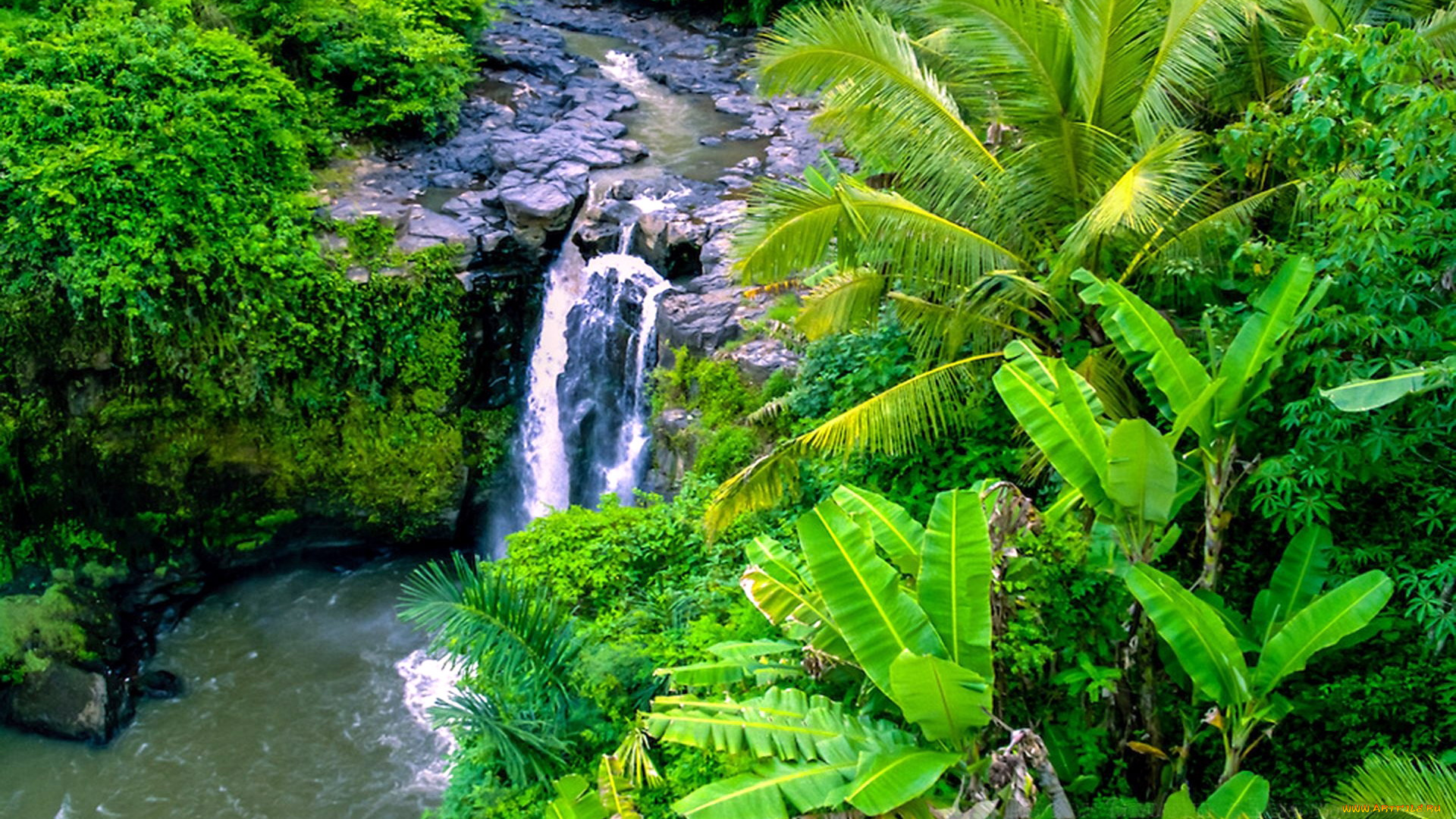 природа, водопады, поток, пальмы