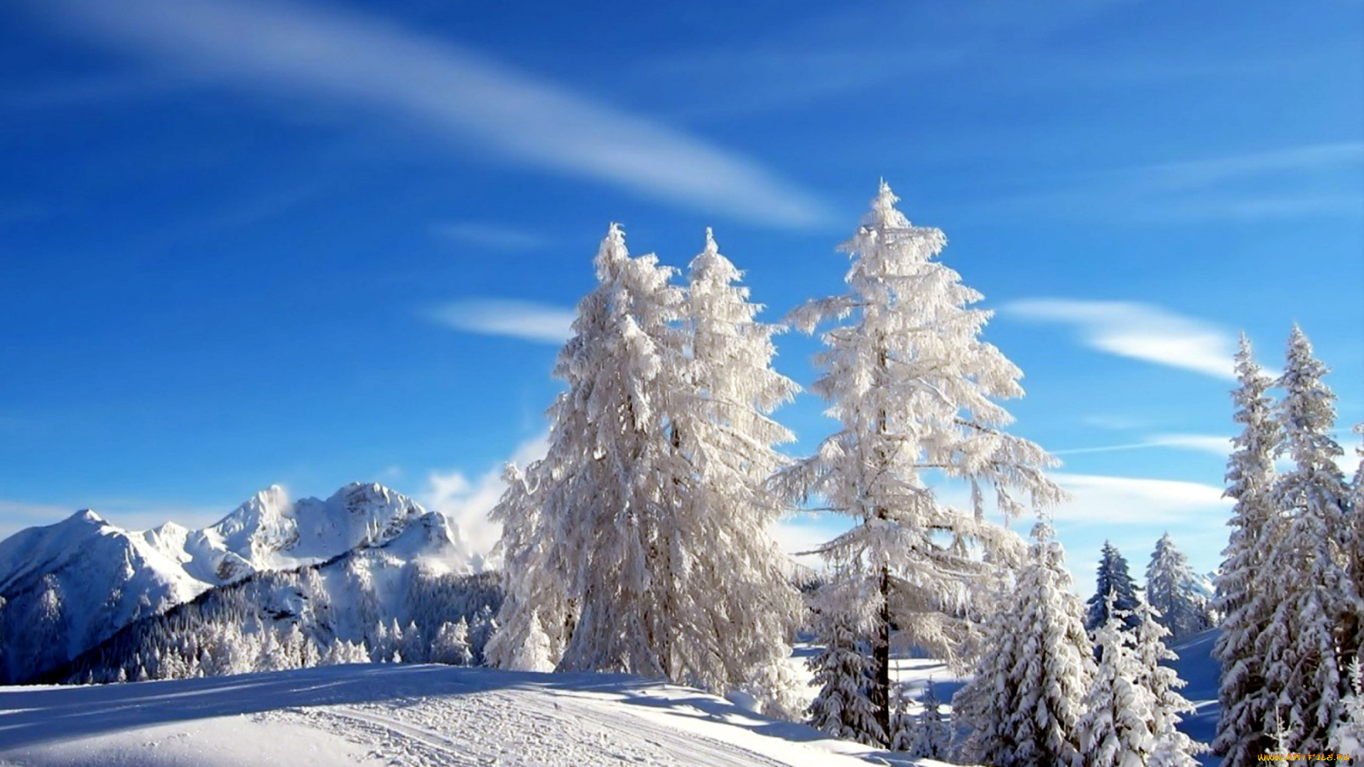 природа, зима, деревья, горы, иней, снег