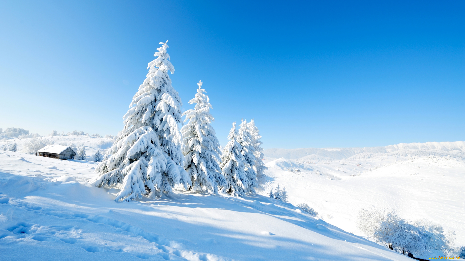 природа, зима, снег, деревья, дом, склон