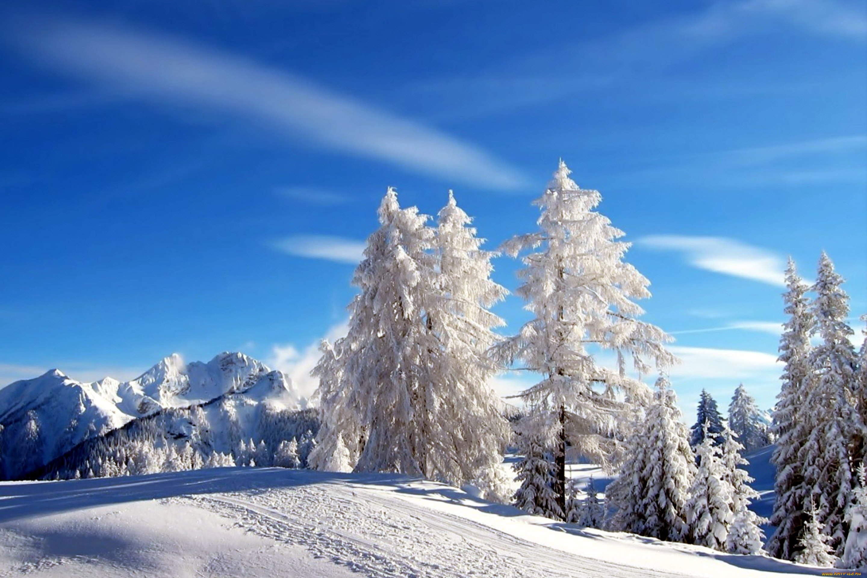 природа, зима, деревья, горы, иней, снег