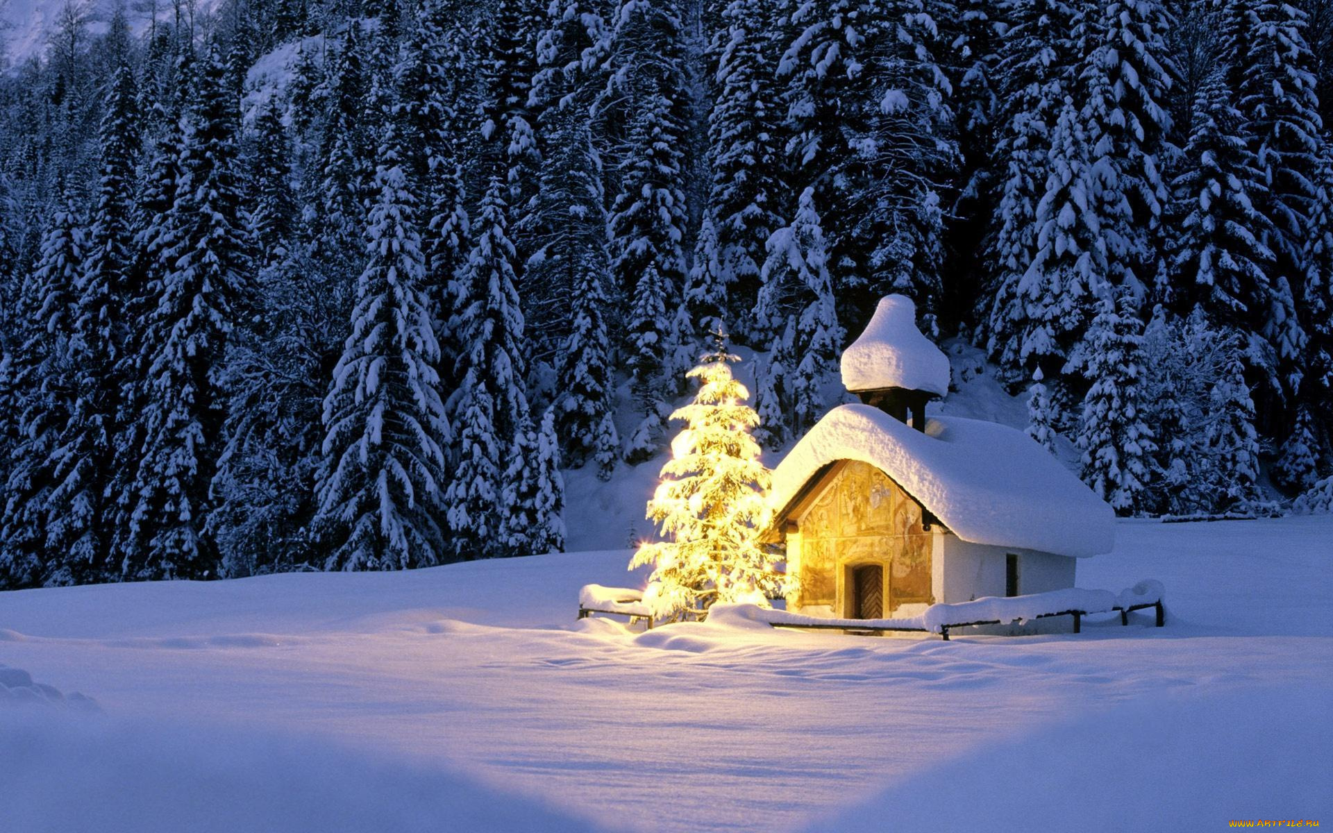 праздничные, новогодние, пейзажи, часовня, огни, ёлка, снег, лес
