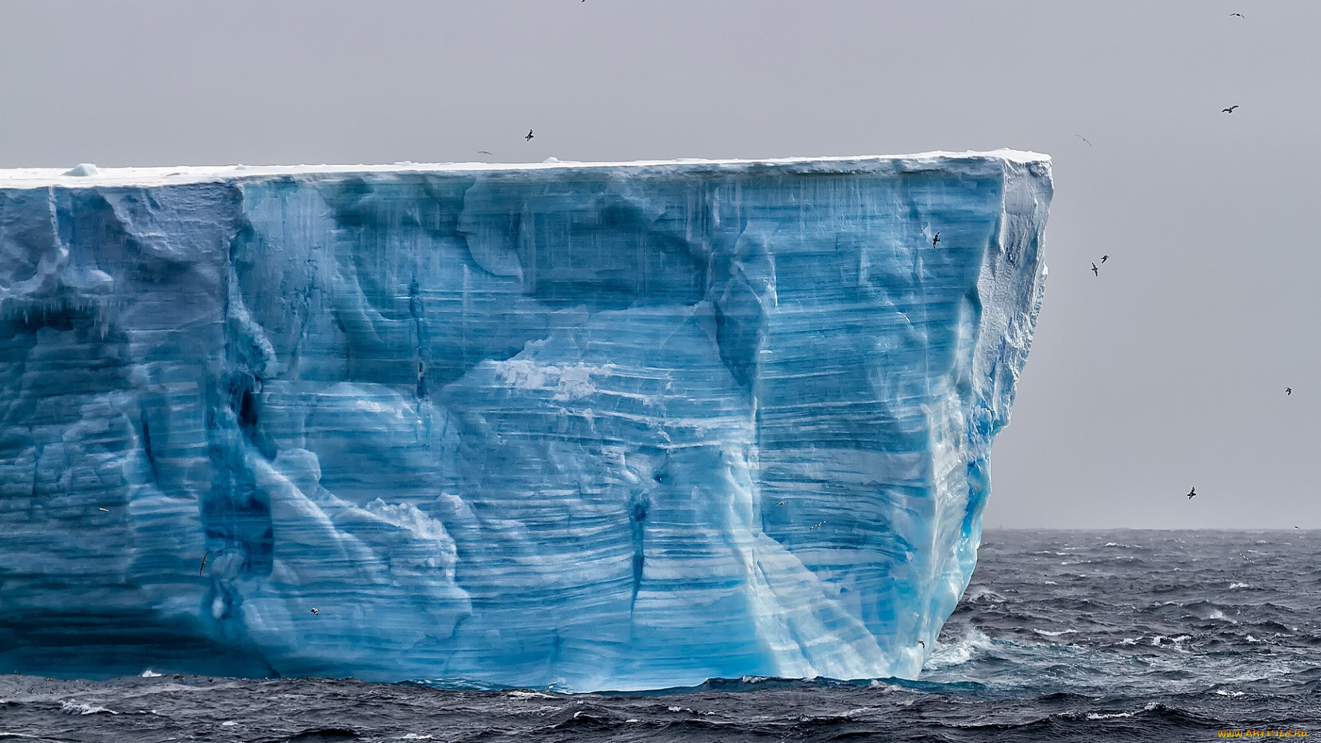 природа, айсберги, и, ледники, простор