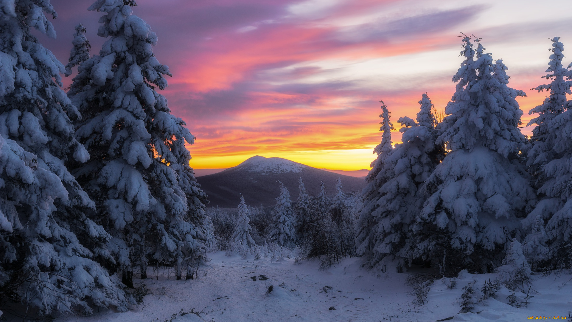 природа, зима, россия, солнечный, свет, деревья, снег, холод