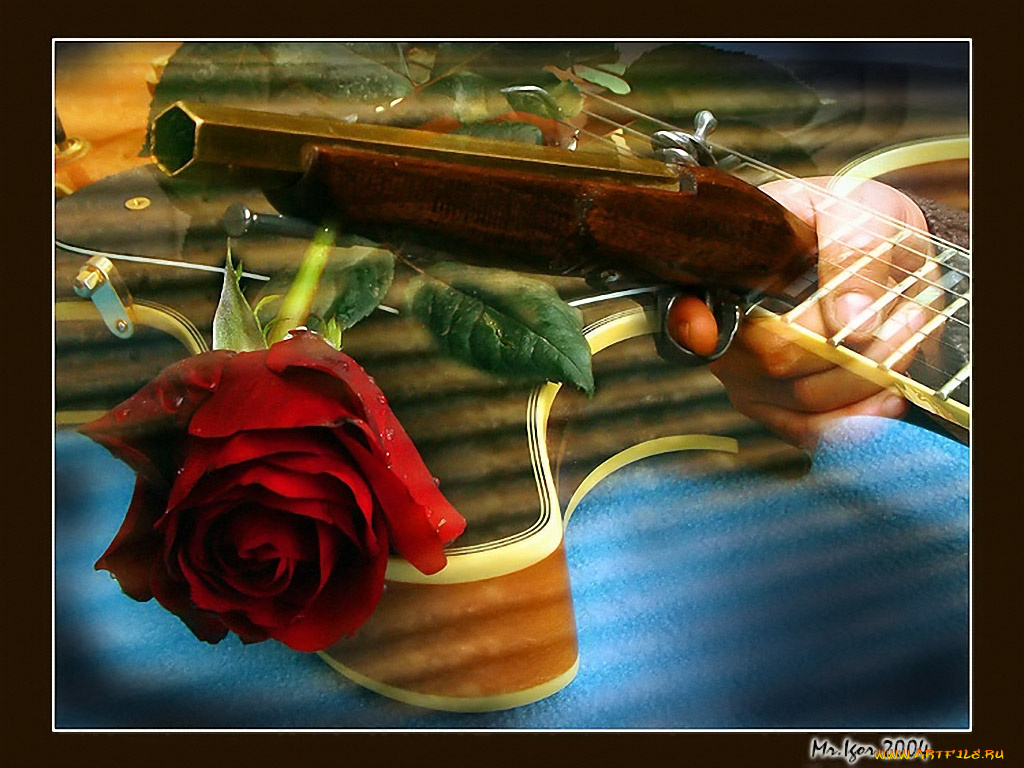 mr, igor, guns, n’, roses, разное