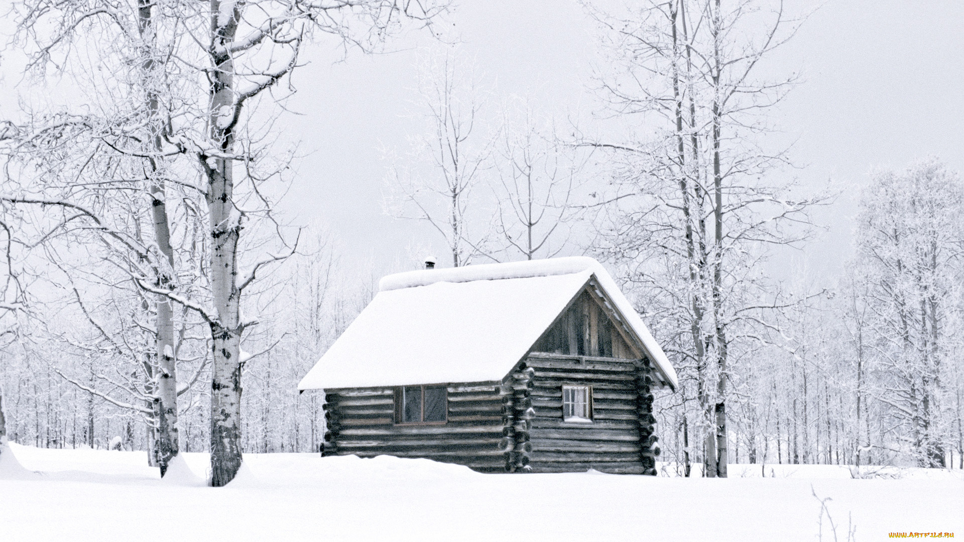 разное, сооружения, постройки, деревья, дом, снег