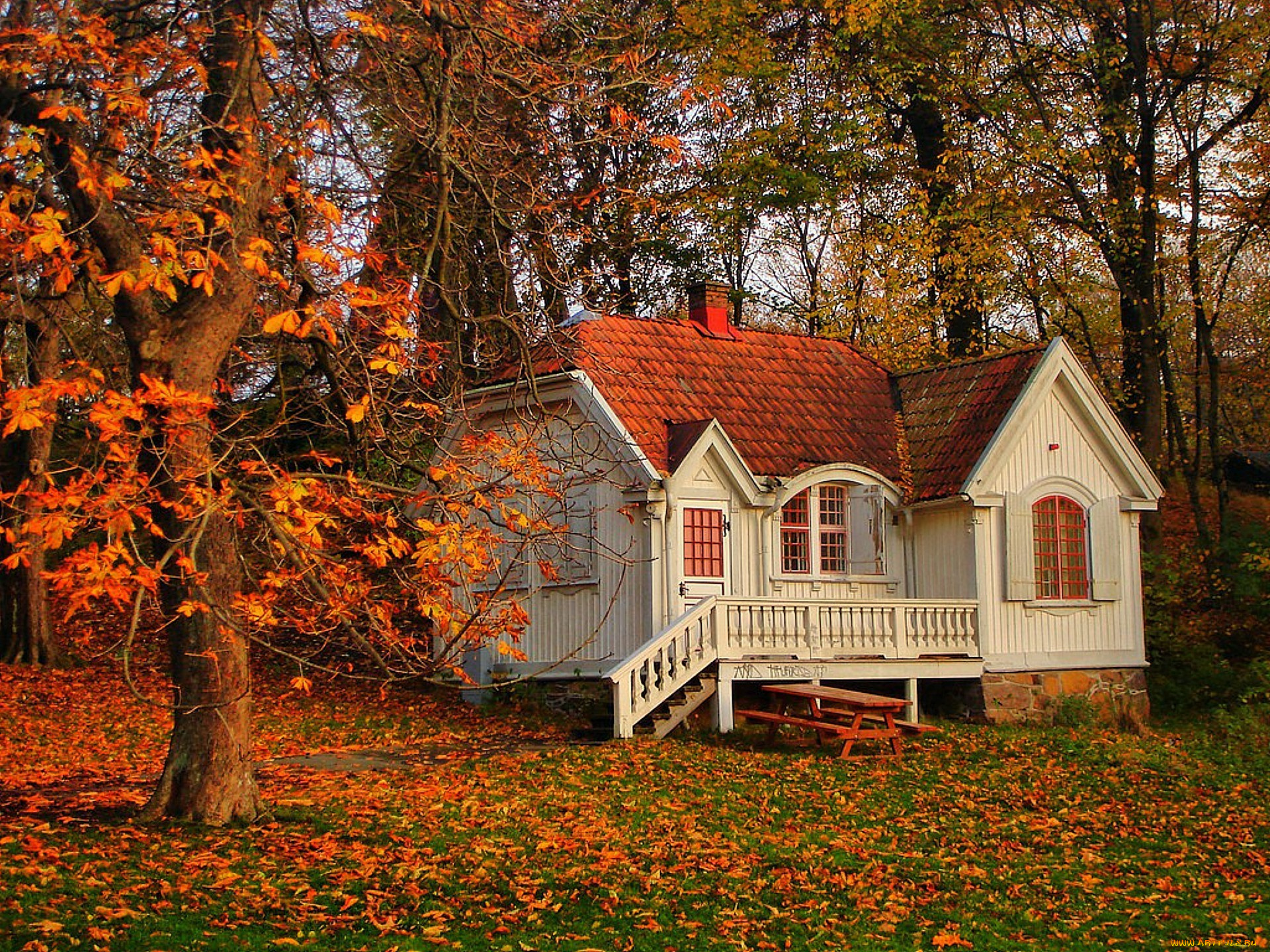 города, здания, дома, деревья, дерево, дом, пейзаж, природа, листья, осень