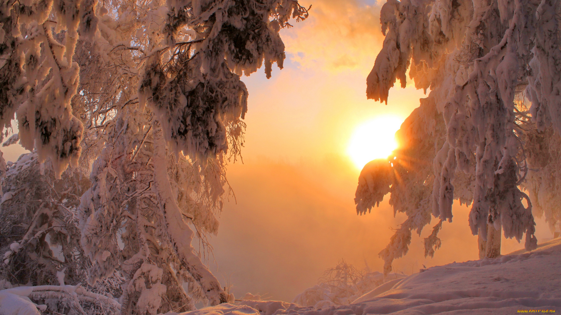 природа, зима, снег, солнце