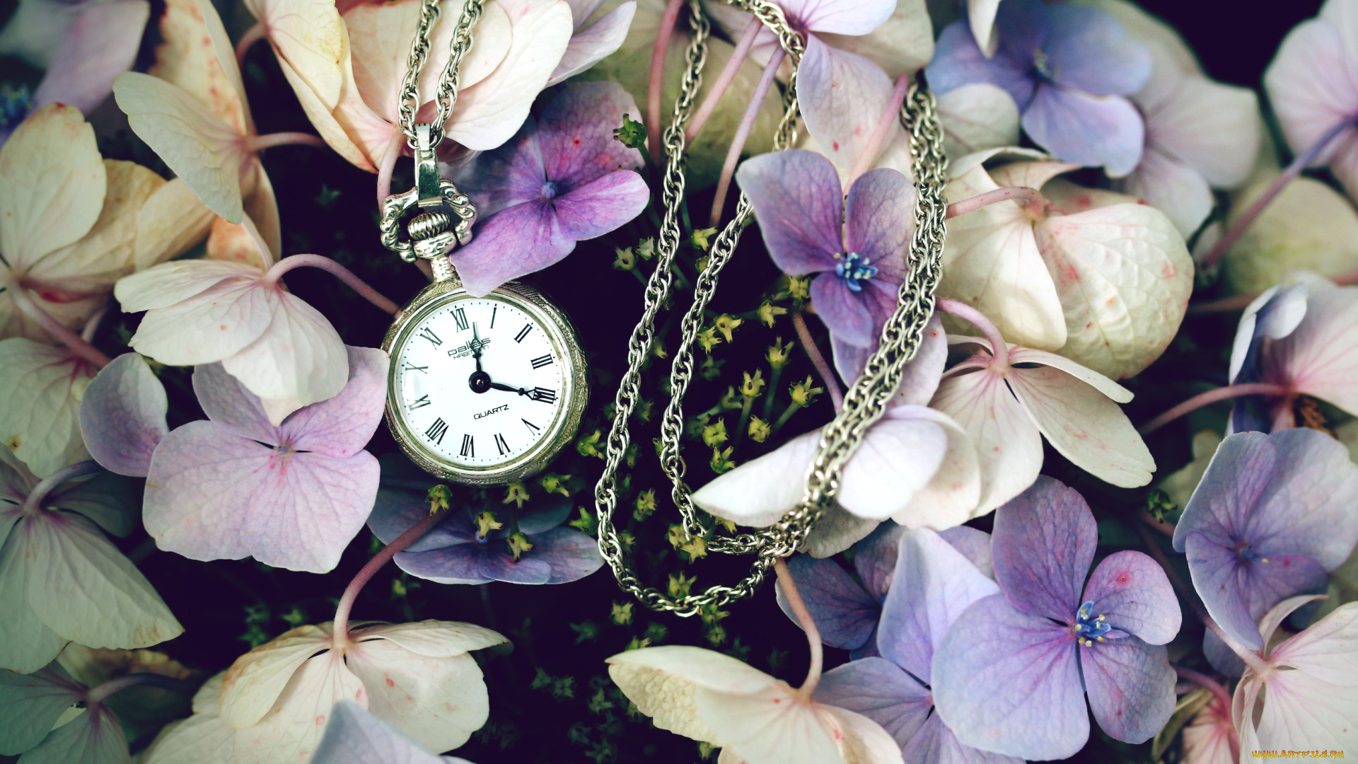 разное, Часы, часовые, механизмы, цветы, гортензия, часы, цепочка
