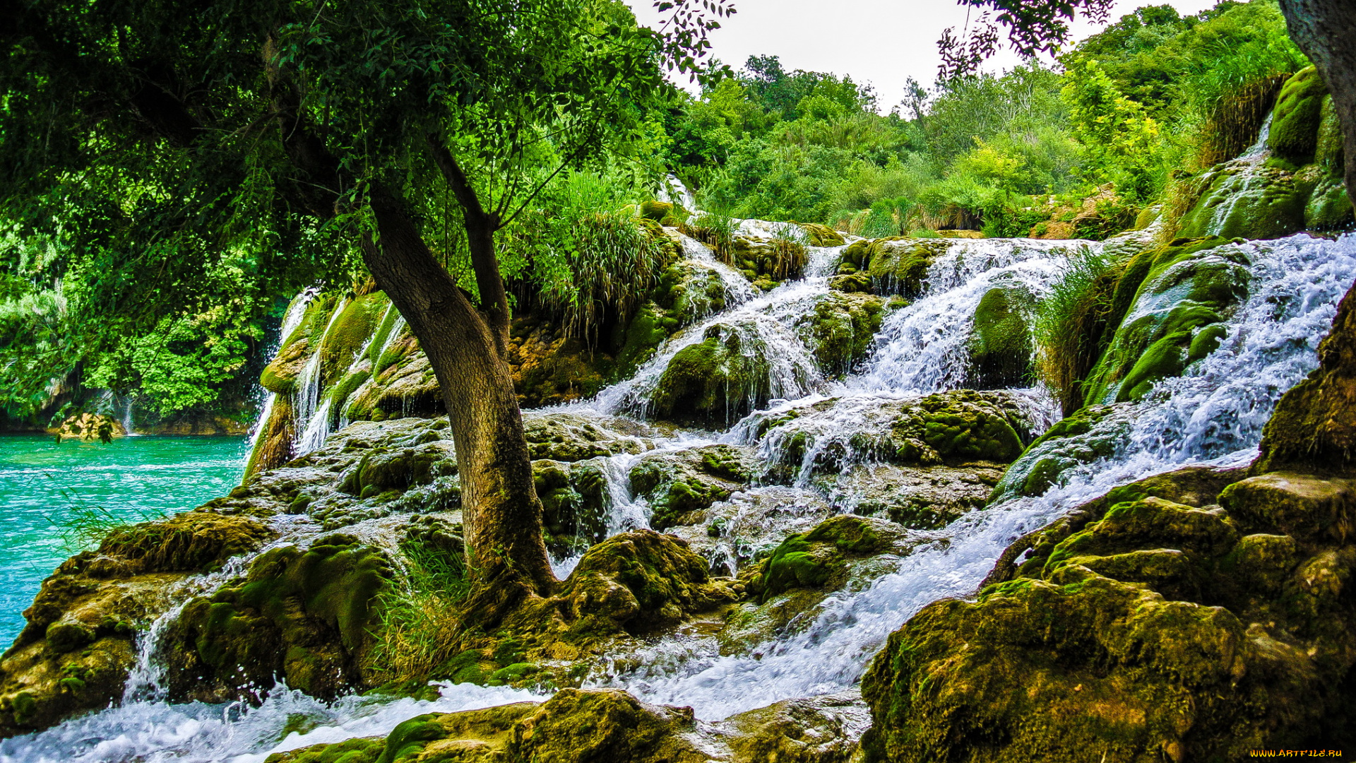 croatia, krka, nat, , park, природа, водопады, хорватия, водопад, парк