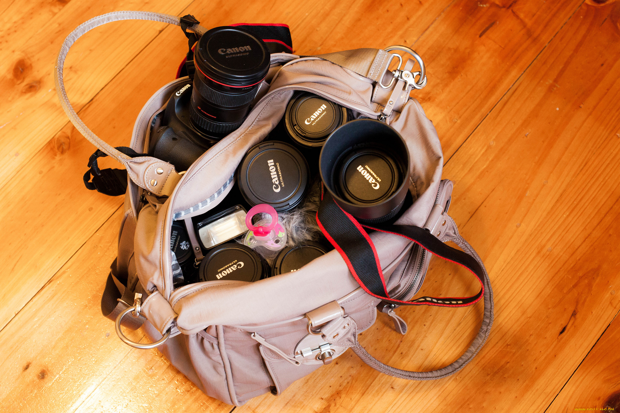 бренды, canon, фотокамерры, сумка