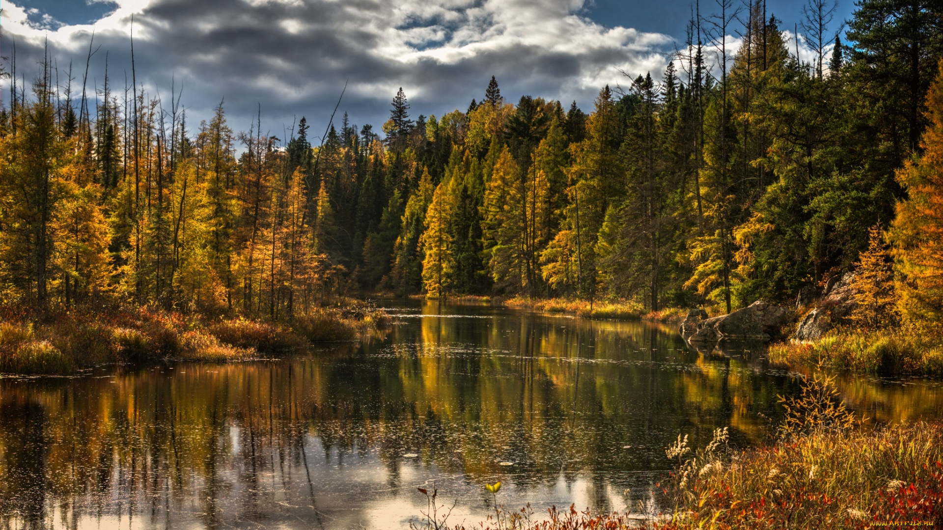 природа, реки, озера, озеро, лес, деревья, осень