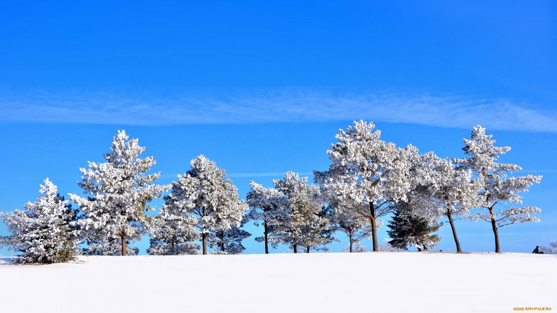 природа, зима, холм, снег, деревья, небо