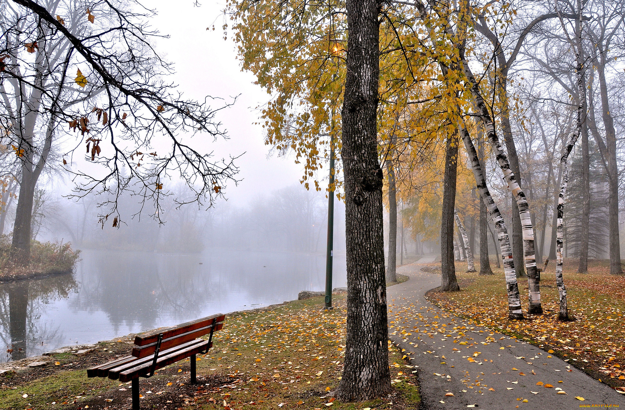 природа, парк, туман, пруд, скамья, деревья, осень