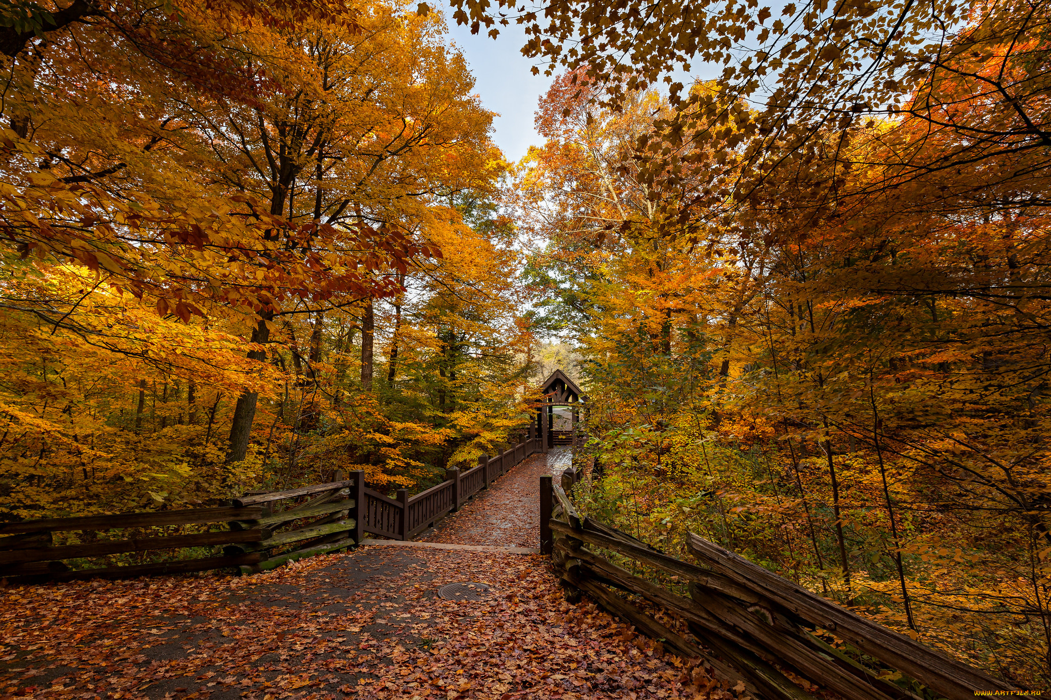 природа, парк, осень, краски, листва, дорожка