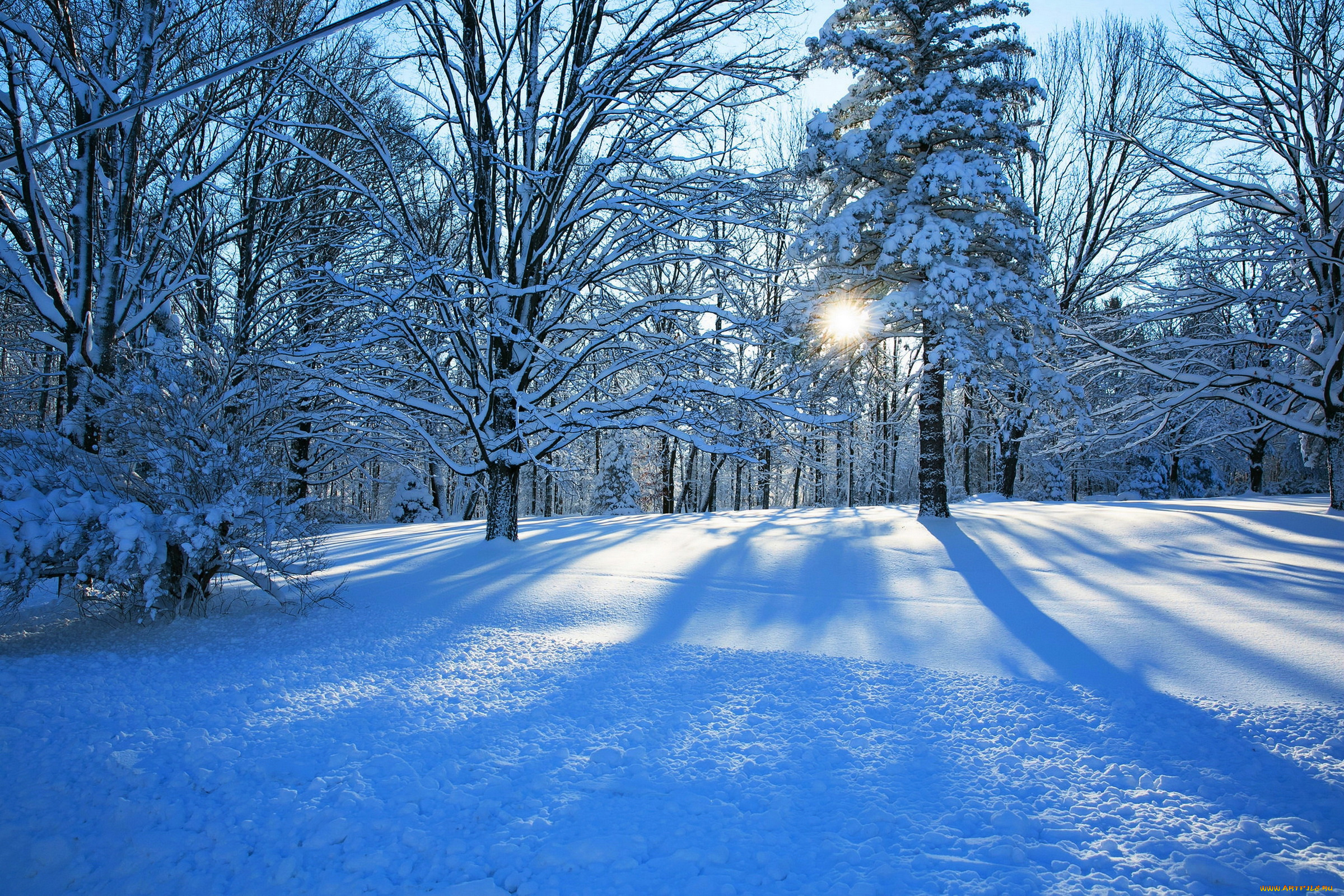 природа, зима, деревья, пейзаж, снег, лес