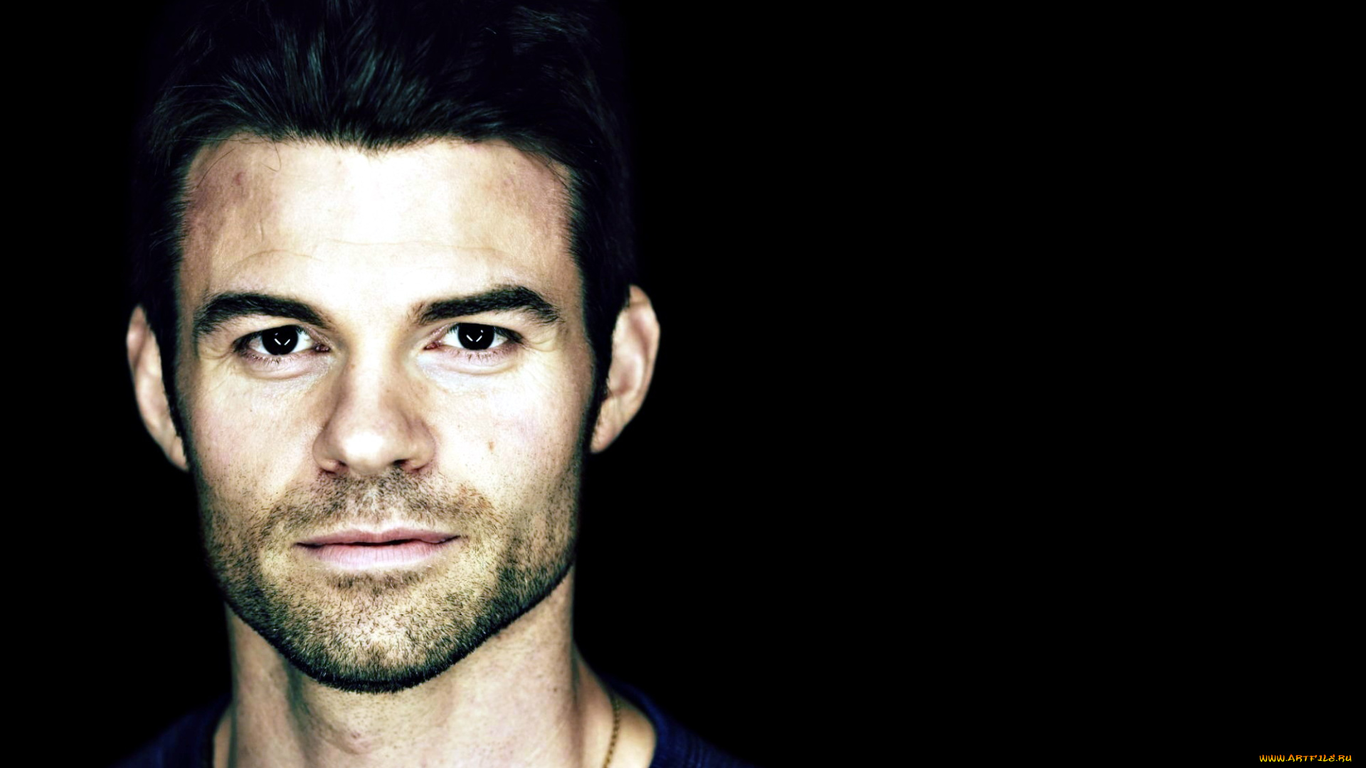 daniel, gillies, мужчины, небритость