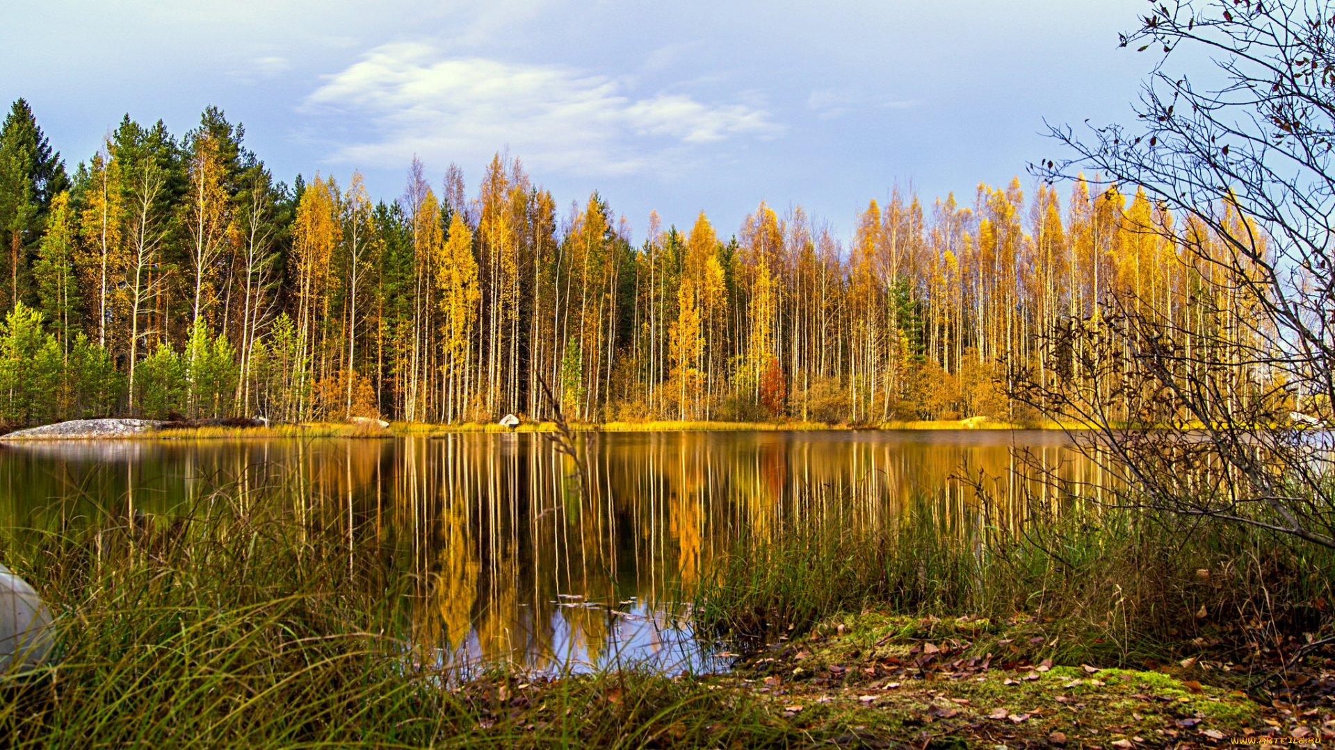 природа, реки, озера, натура