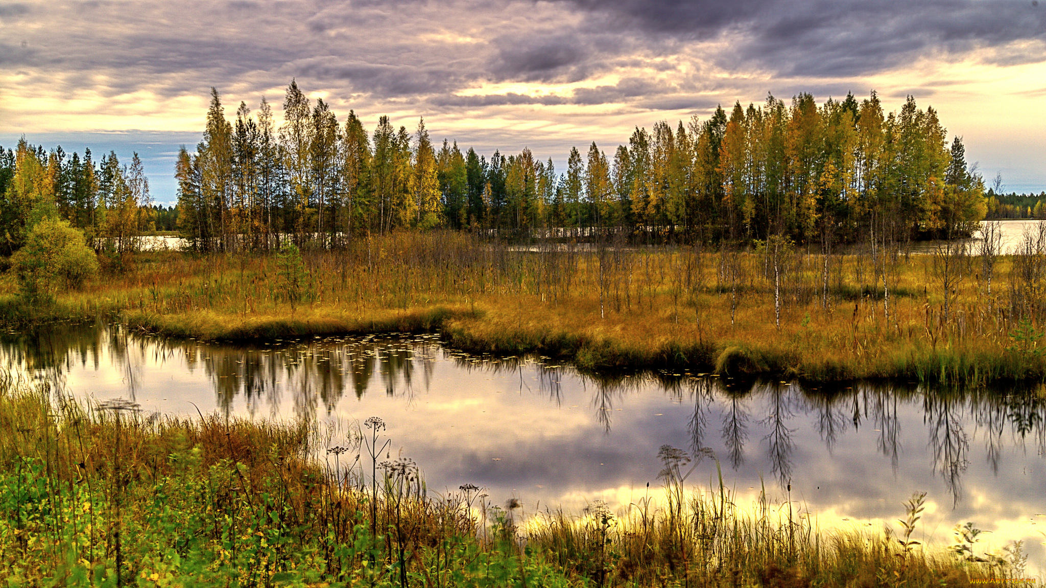 природа, реки, озера, натура