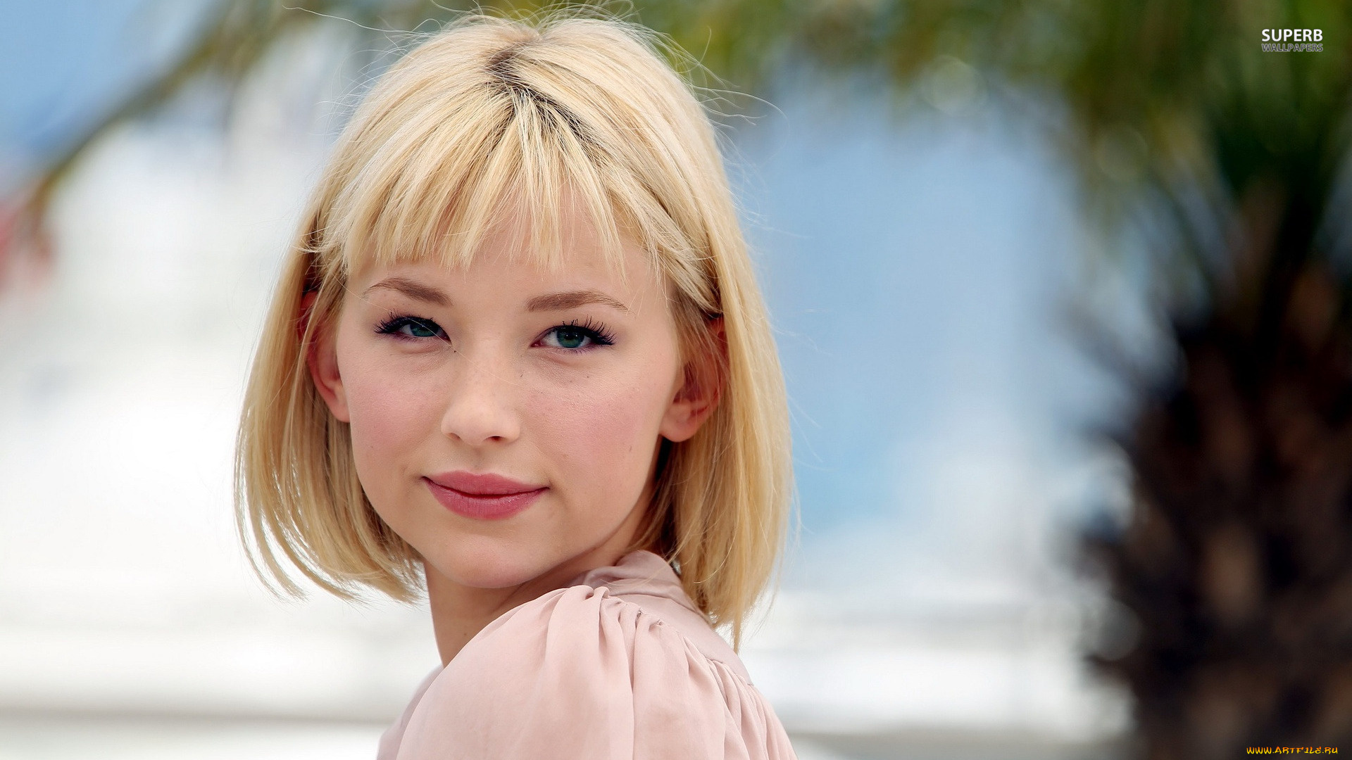 девушки, haley, bennett, haley, bennett