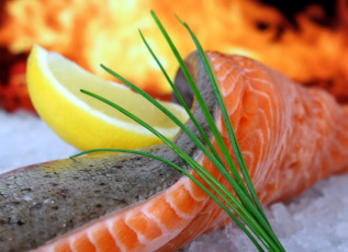 Картинка еда рыба +морепродукты +суши +роллы лимон форель