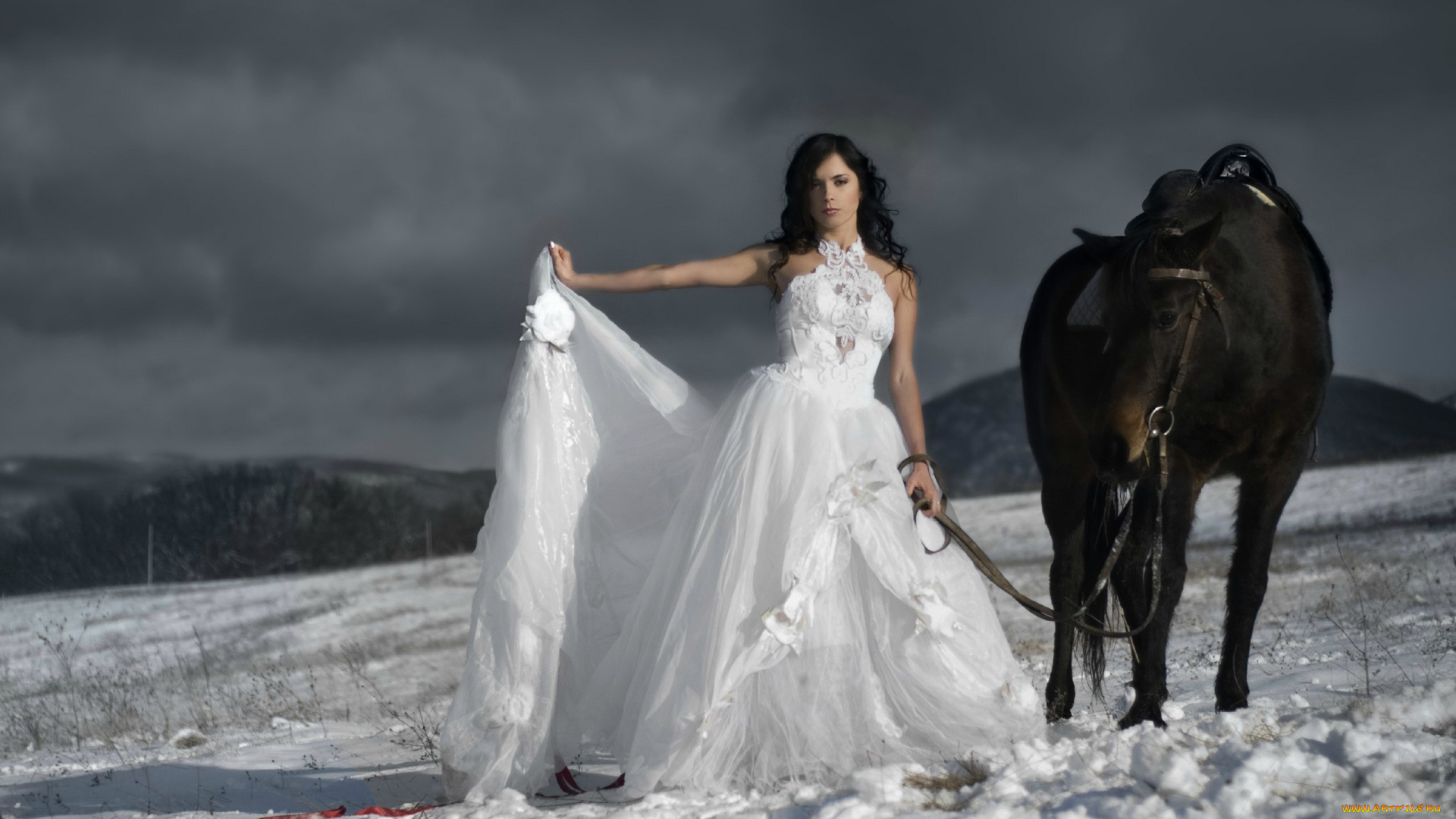 девушки, -, невесты, зима, снег, невеста, лошадь