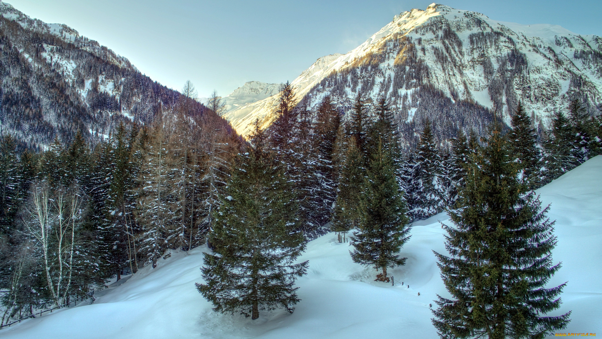 австрийские, альпы, природа, горы, ели, снег