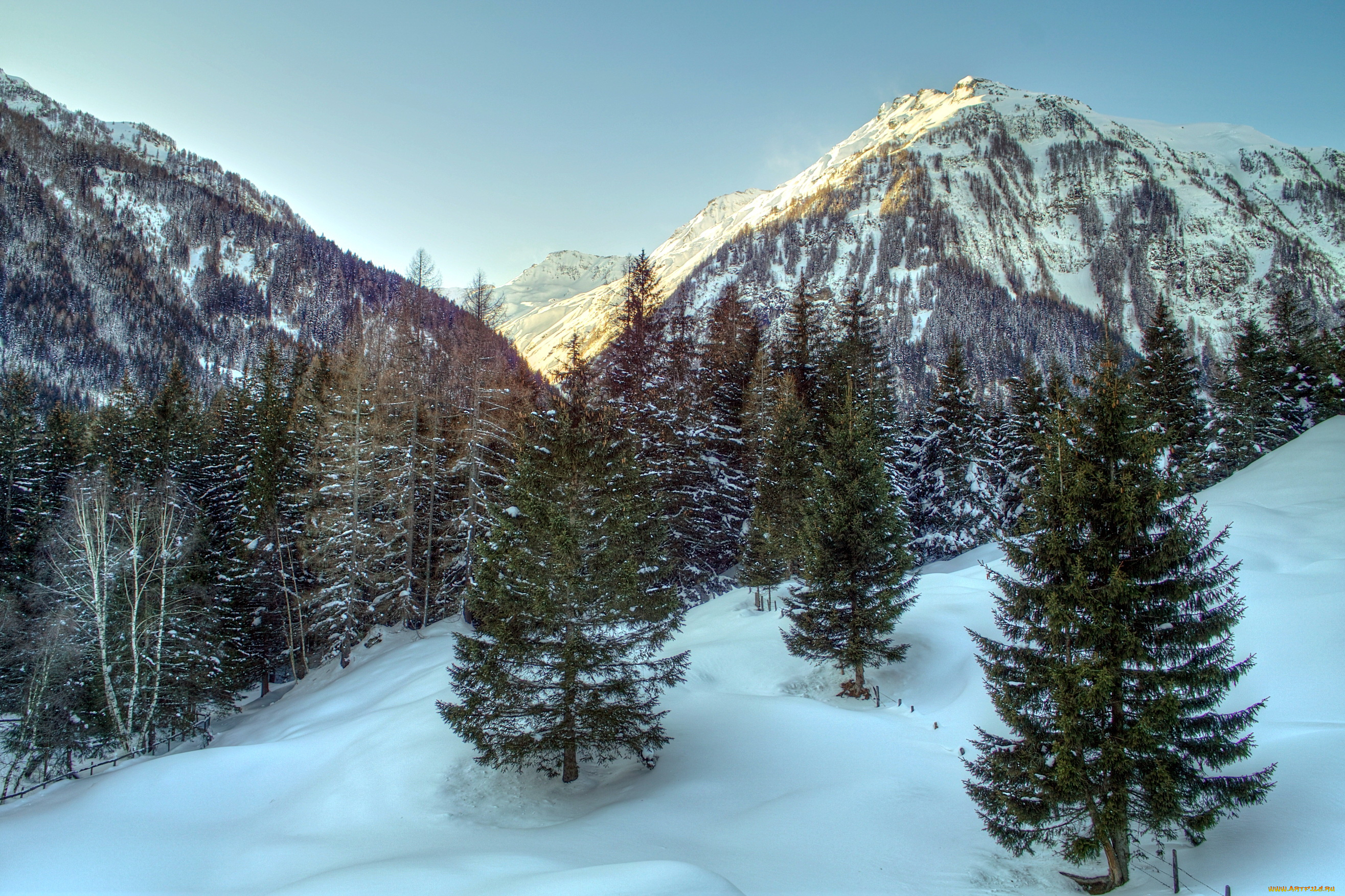 австрийские, альпы, природа, горы, ели, снег