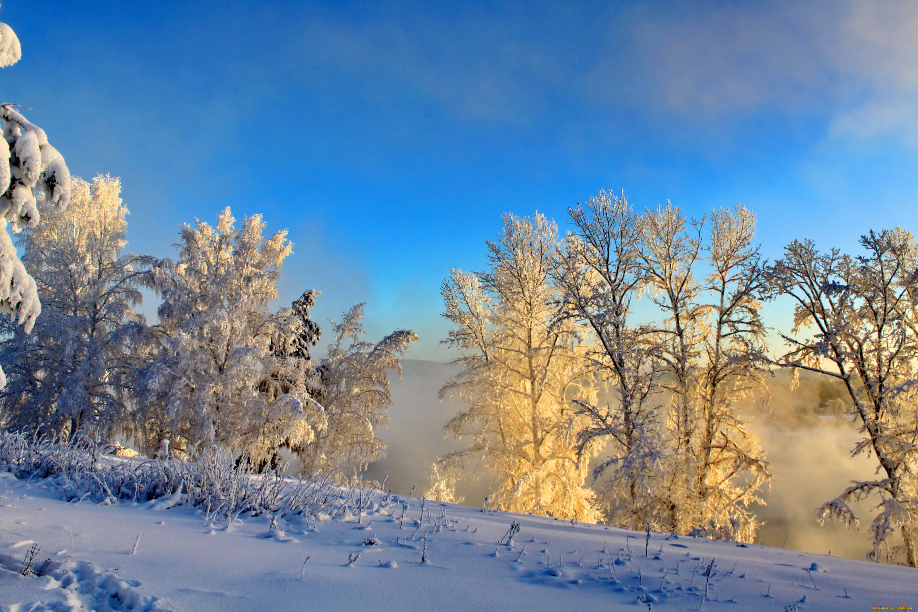 Красивая природа февраль. Зимняя природа. Зима пейзаж. Январь природа. Февраль природа.