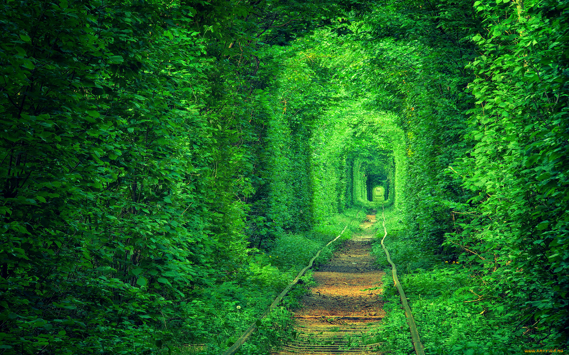 природа, дороги, тоннель