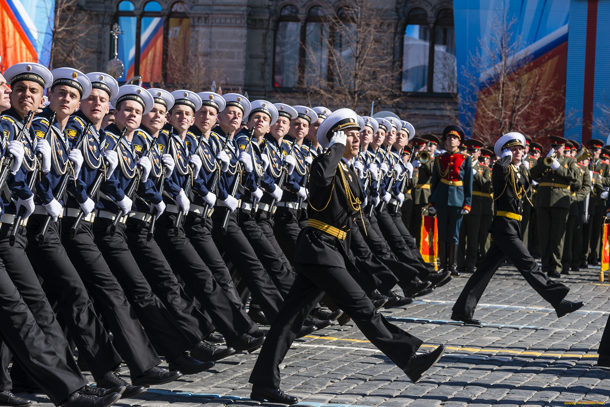 оружие, армия, спецназ, парад, матросы