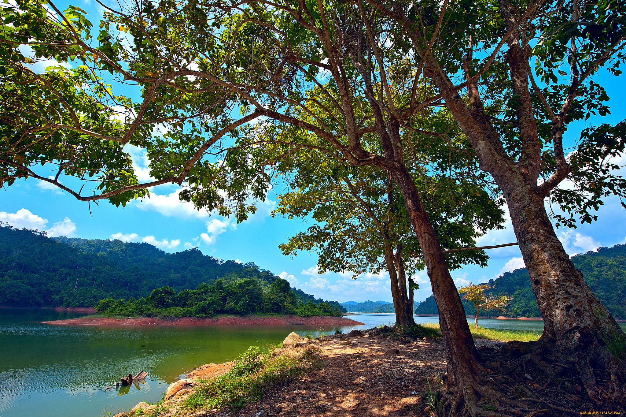 pedu, lake, , kedah, , malaysia, природа, реки, озера, деревья, озеро, остров, малайзия, malaysia, kedah, pedu, lake